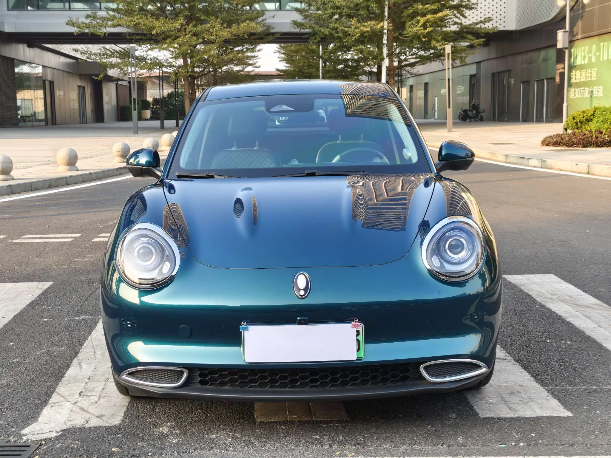 ORA Euler good cat  из Китая