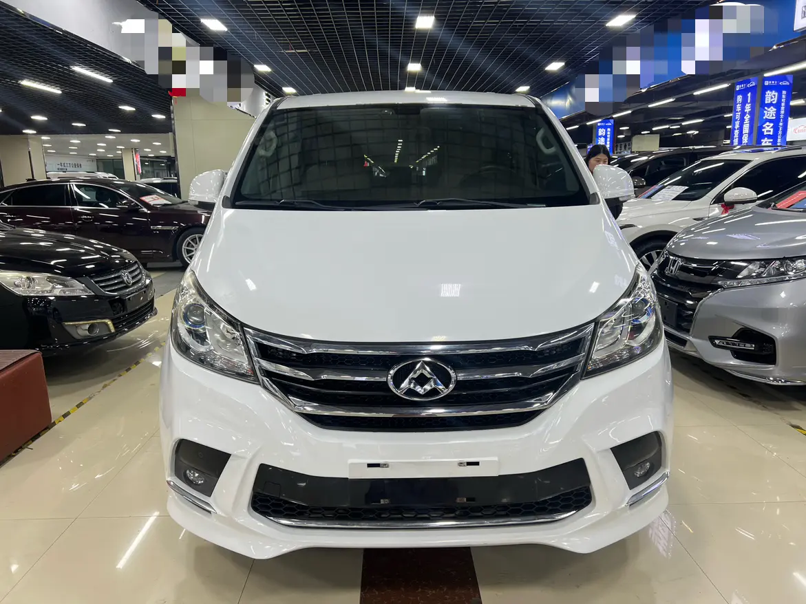 Datong Maxus G10  из Китая