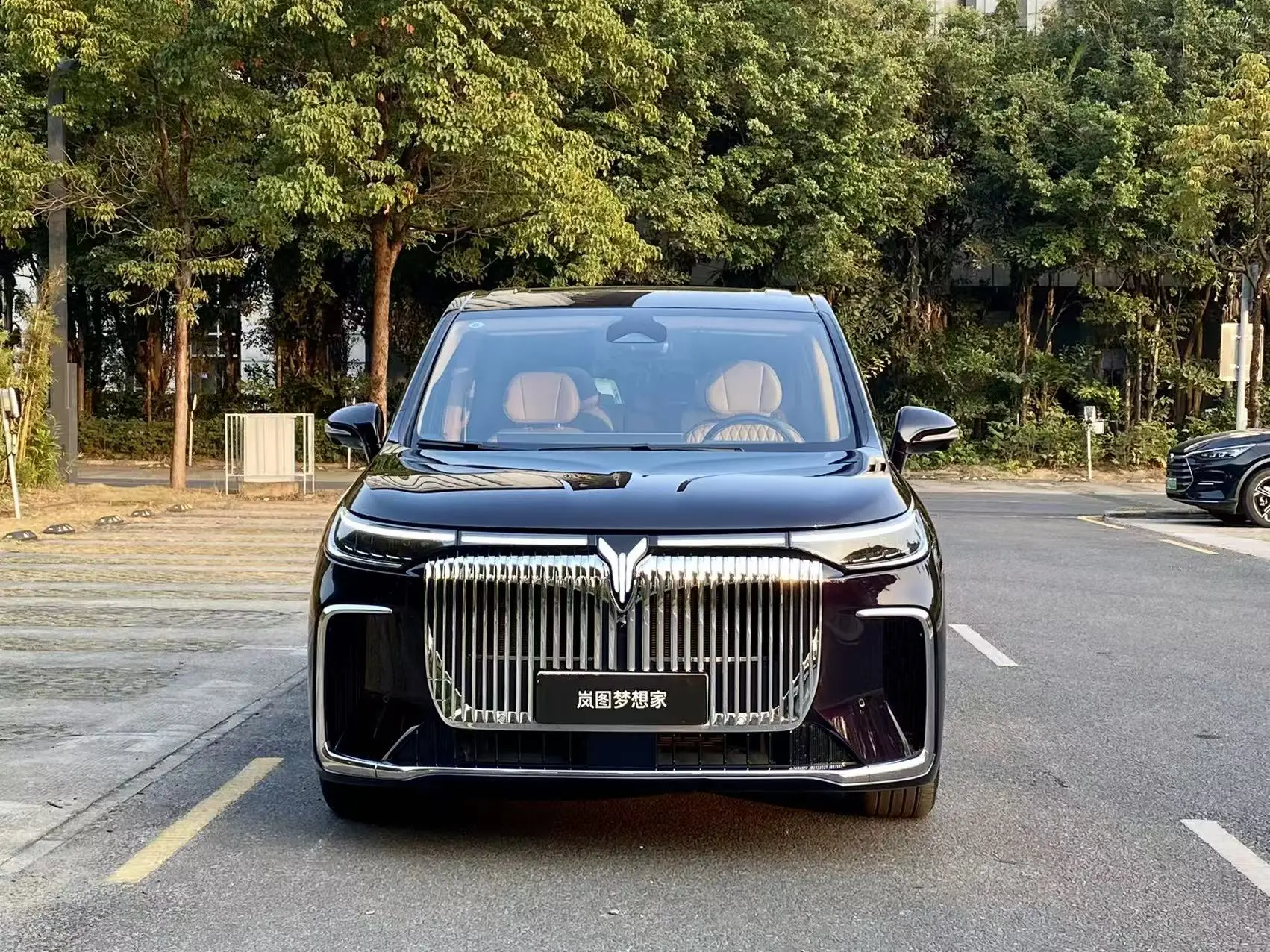 Voyah Lantu Dreamer PHEV  из Китая