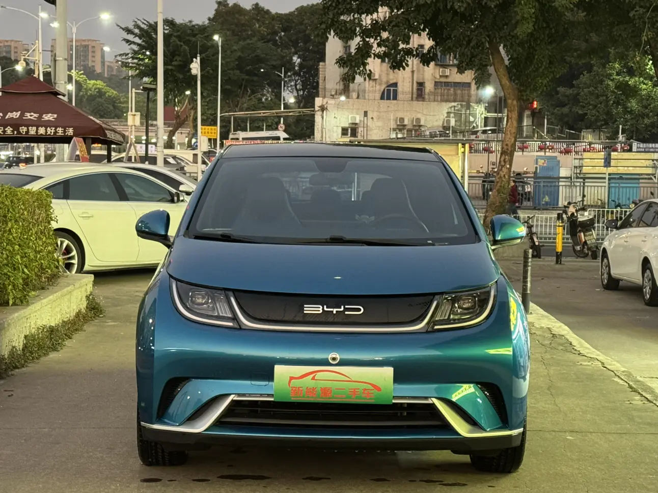BYD Dolphin  из Китая