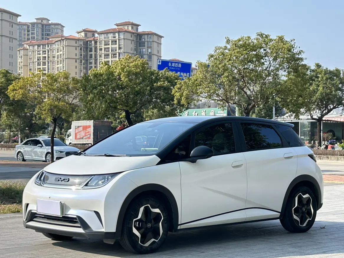 BYD Dolphin  из Китая