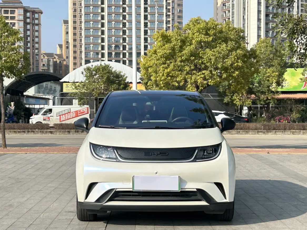 BYD Dolphin  из Китая