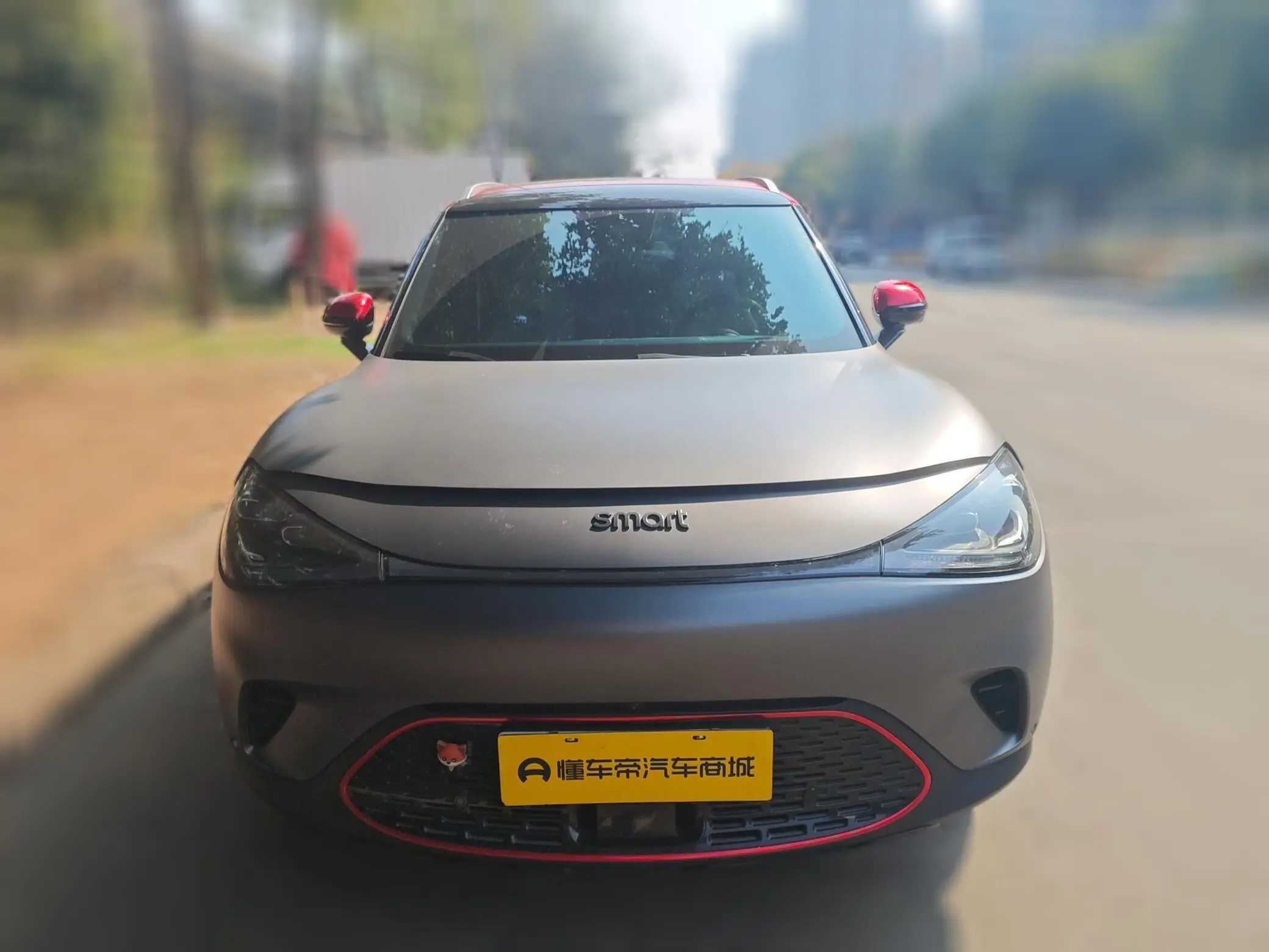 Smart elf #1  из Китая