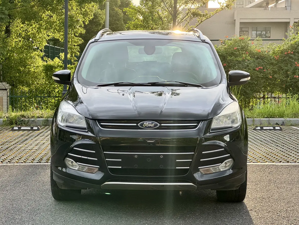 Ford Wing tiger  из Китая