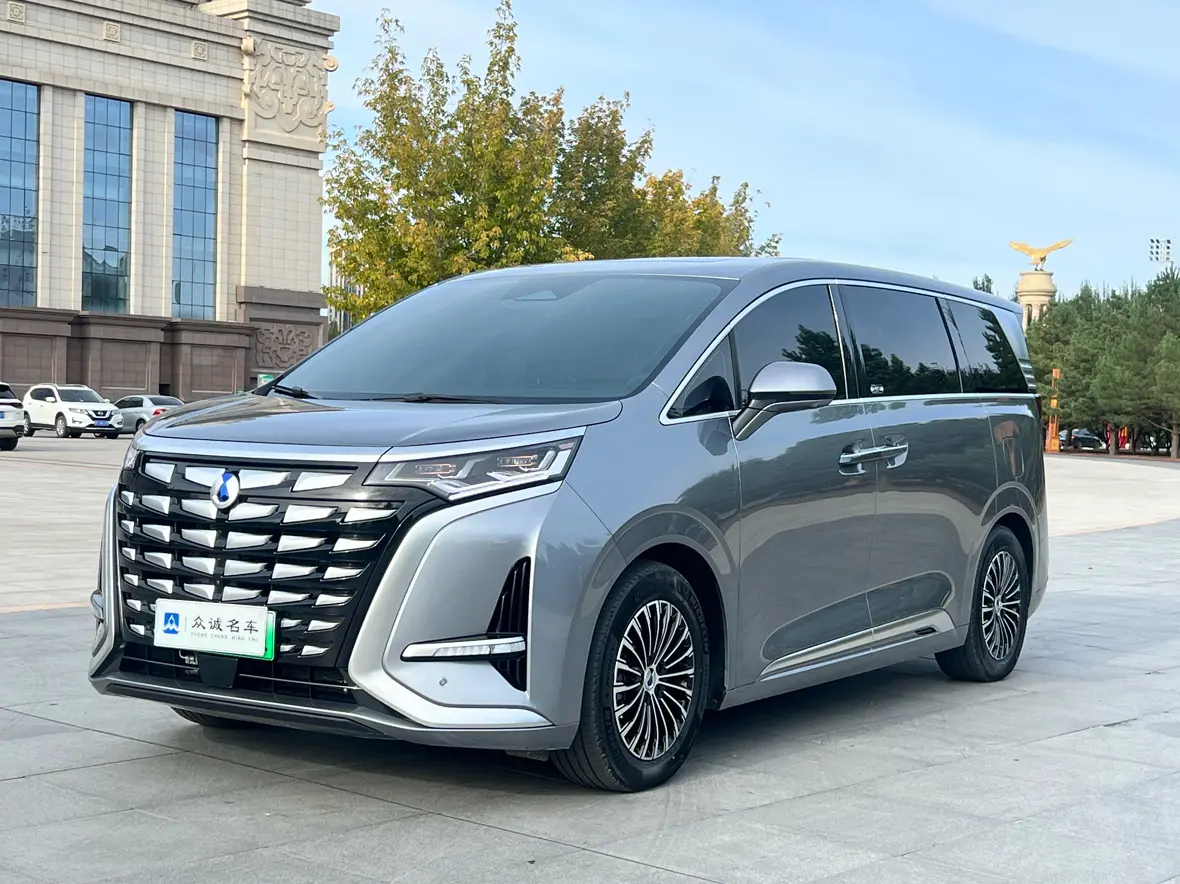 Denza D9 DM  из Китая