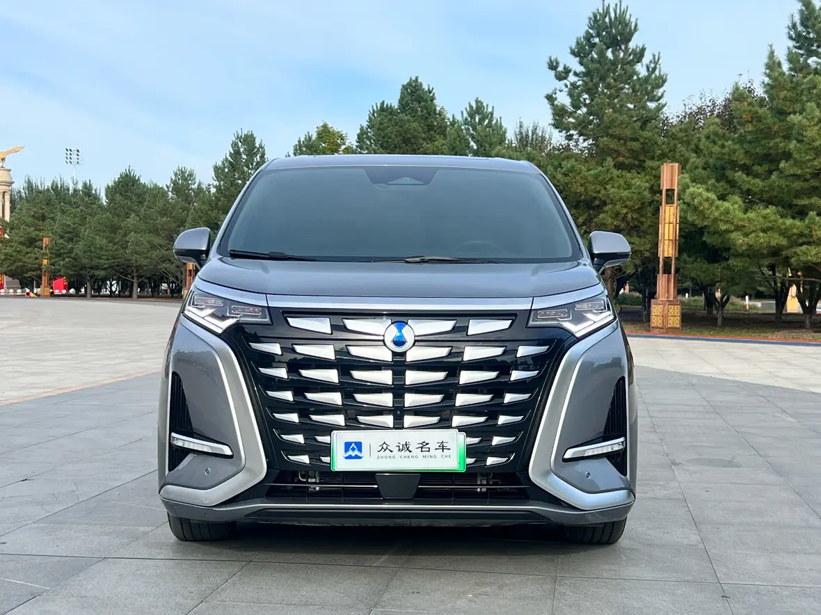 Denza D9 DM  из Китая