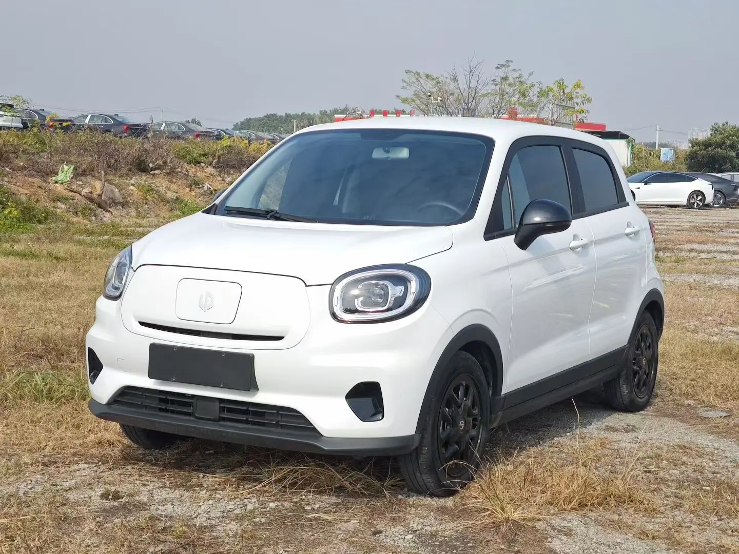 Leapmotor Zero running T03  из Китая