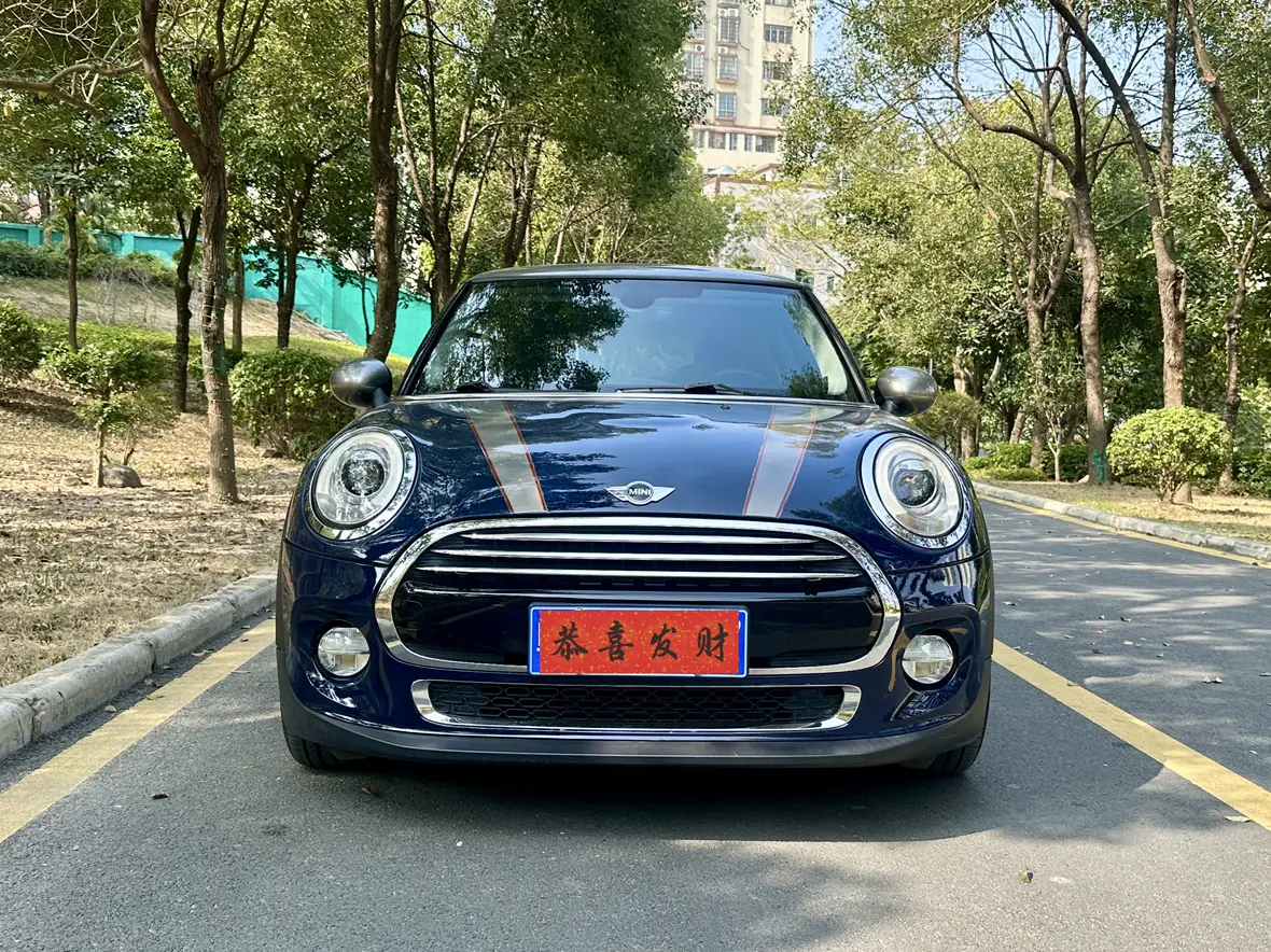 MINI MINI  из Китая