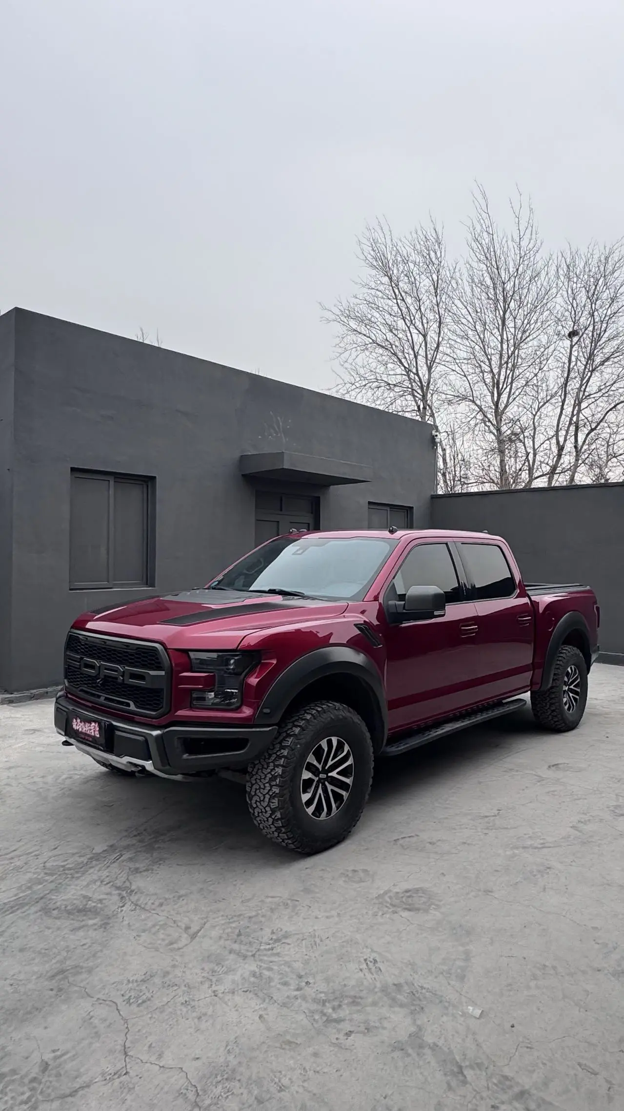 Ford F-150 Raptor  из Китая