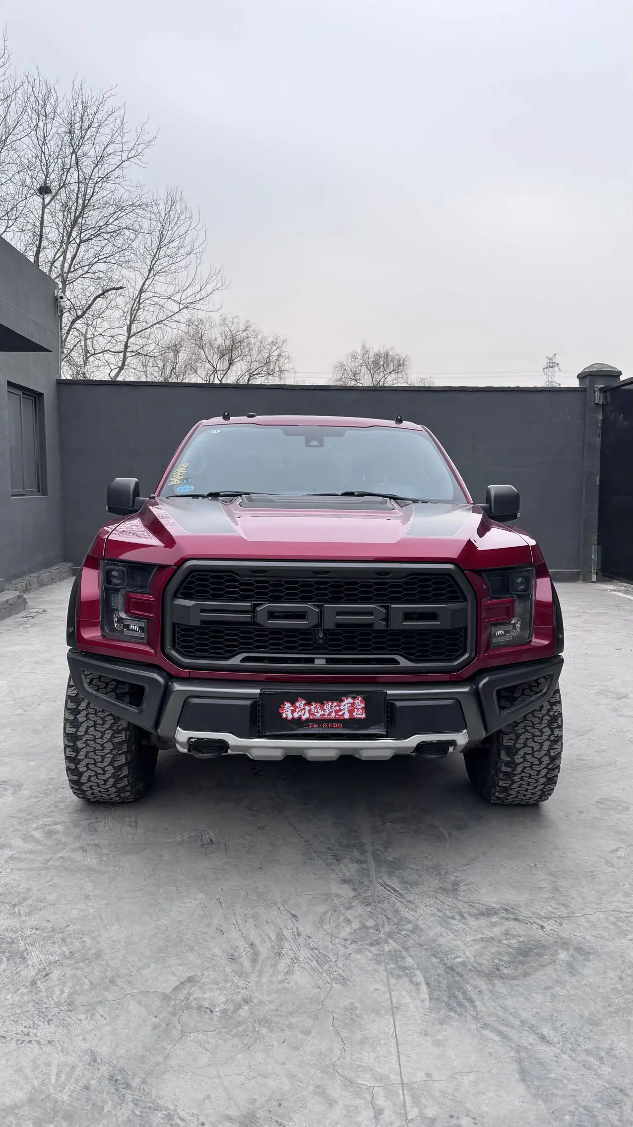 Ford F-150 Raptor  из Китая