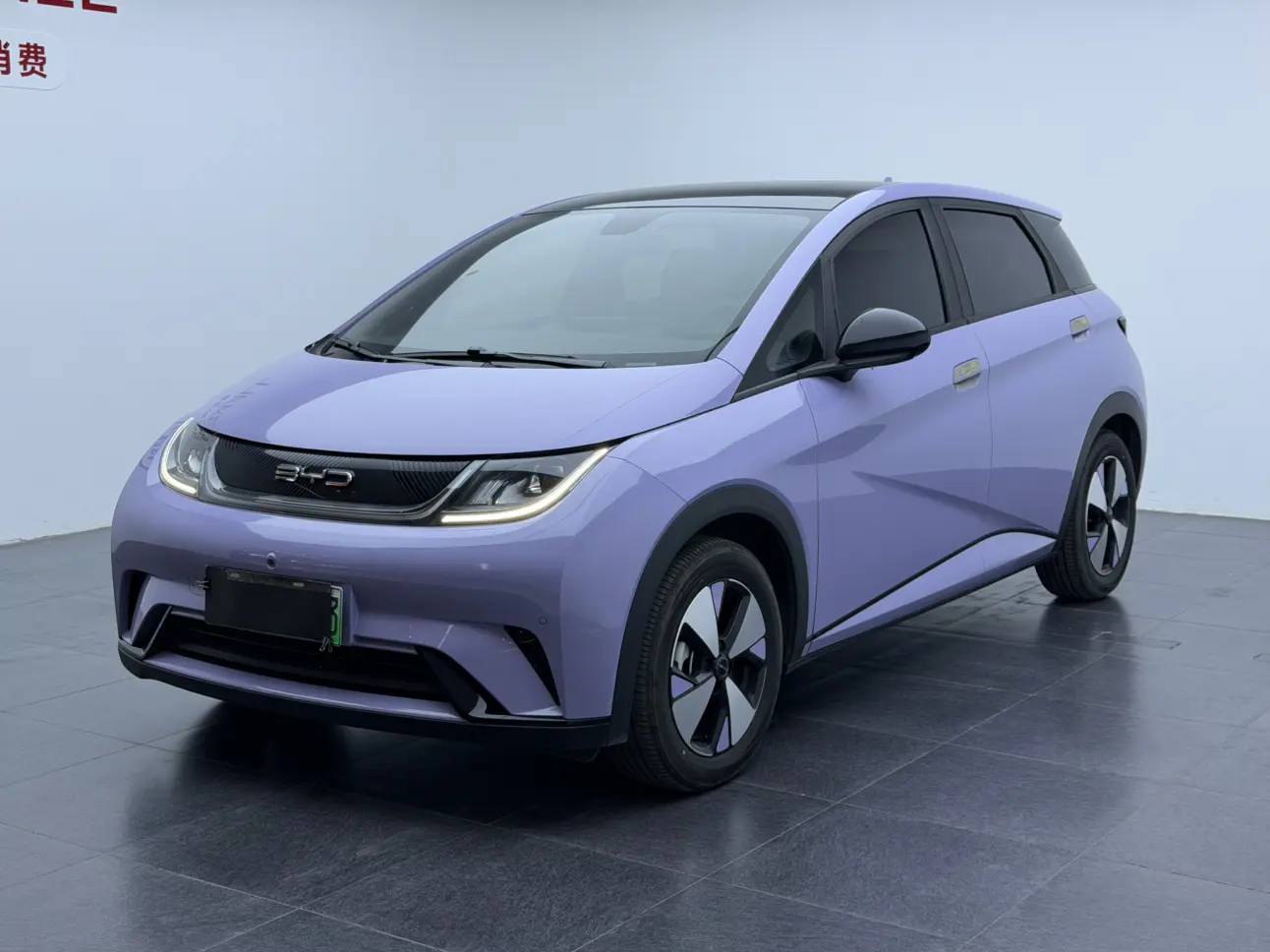 BYD Dolphin  из Китая