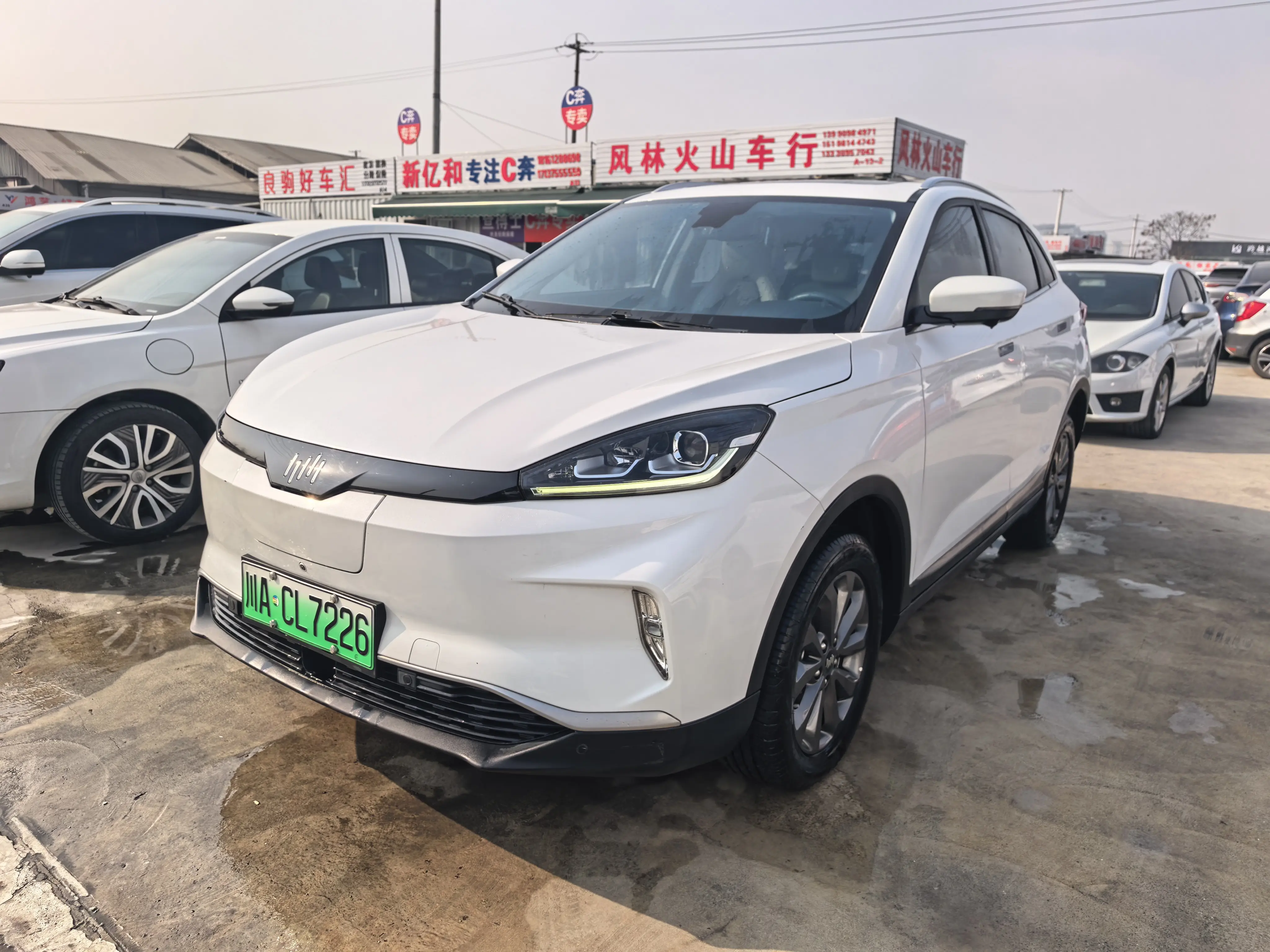 Weltmeister WM EX5  из Китая