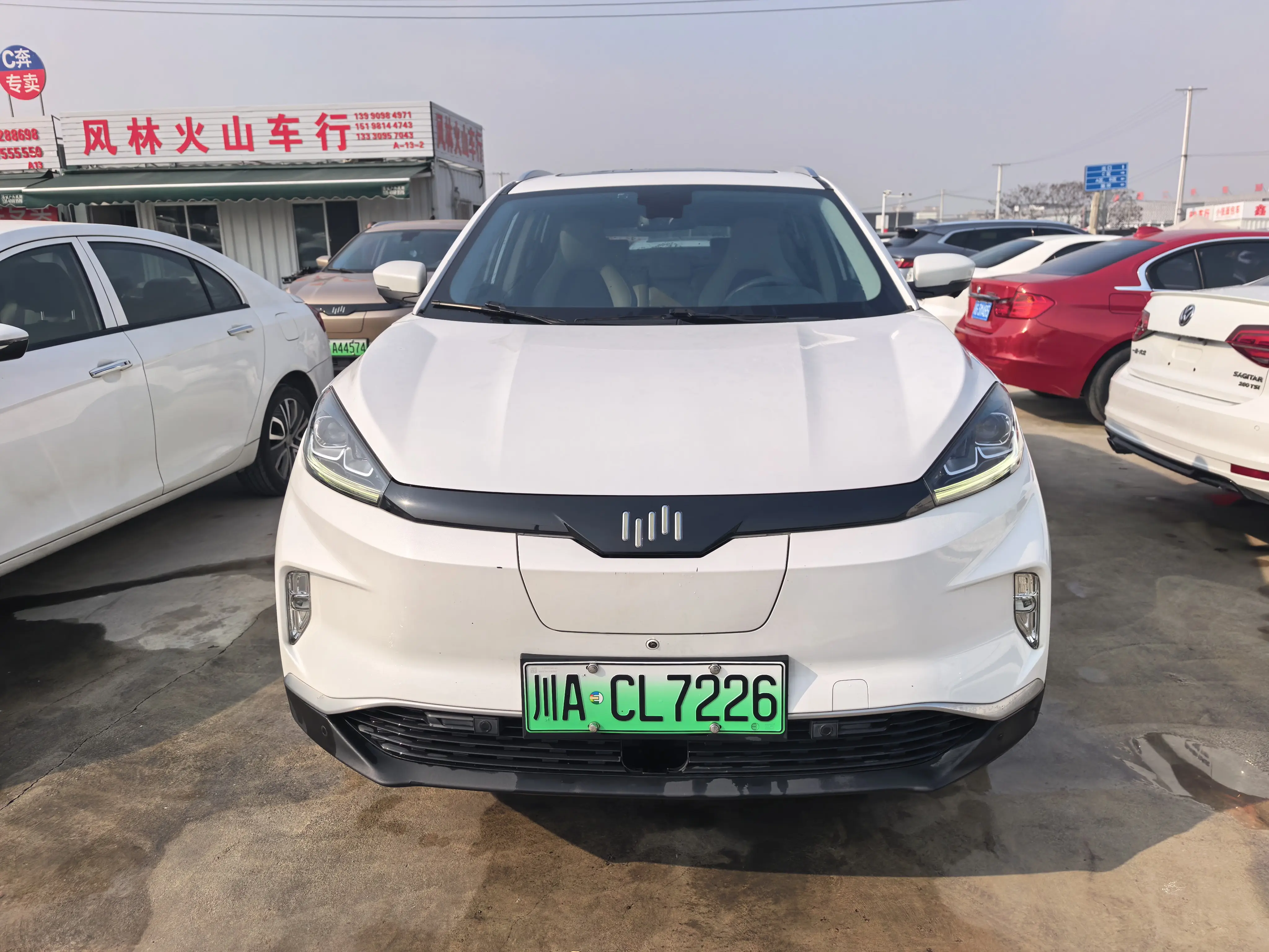 Weltmeister WM EX5  из Китая