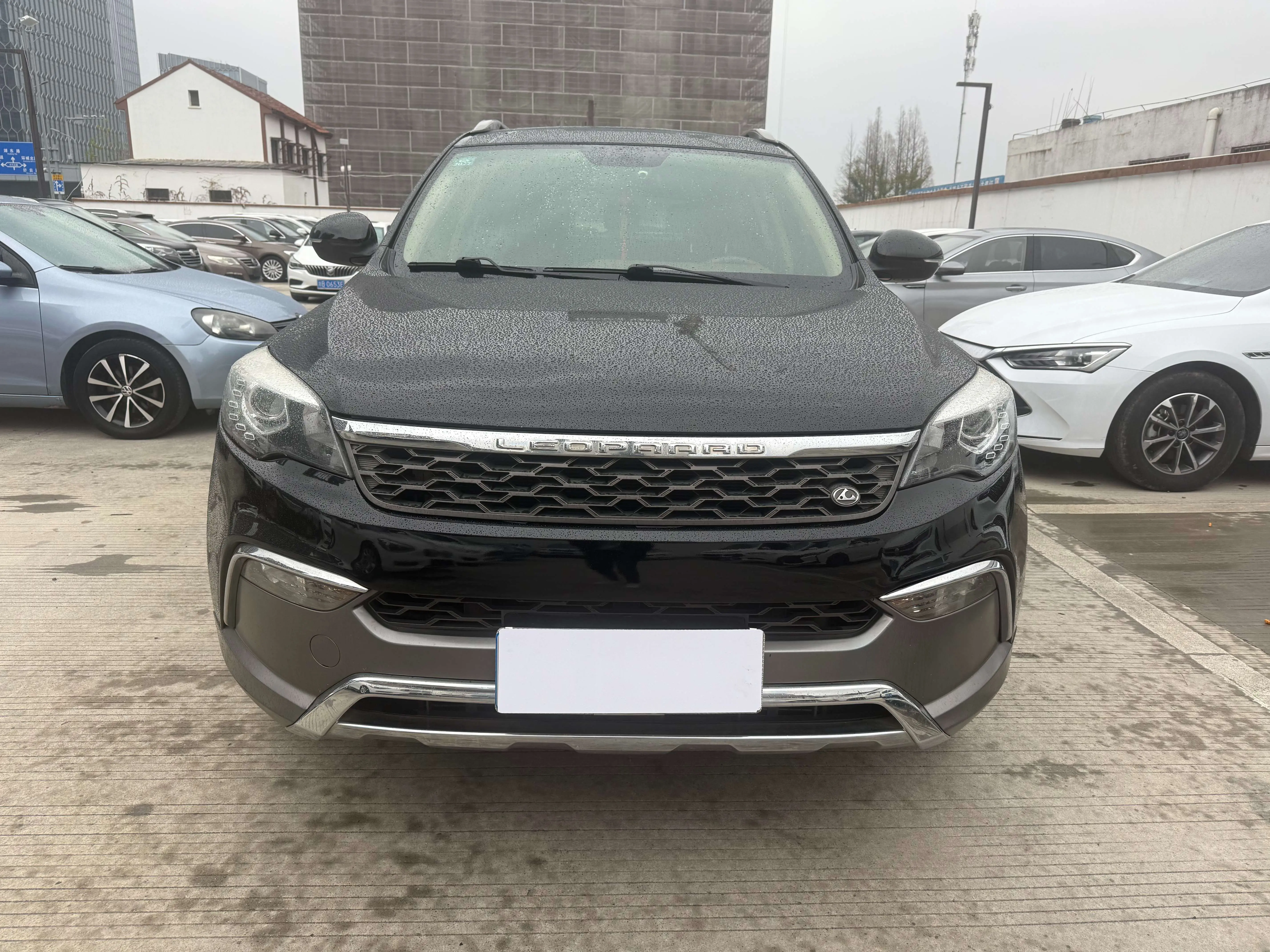 Cheetah cars Cheetah CS10  из Китая