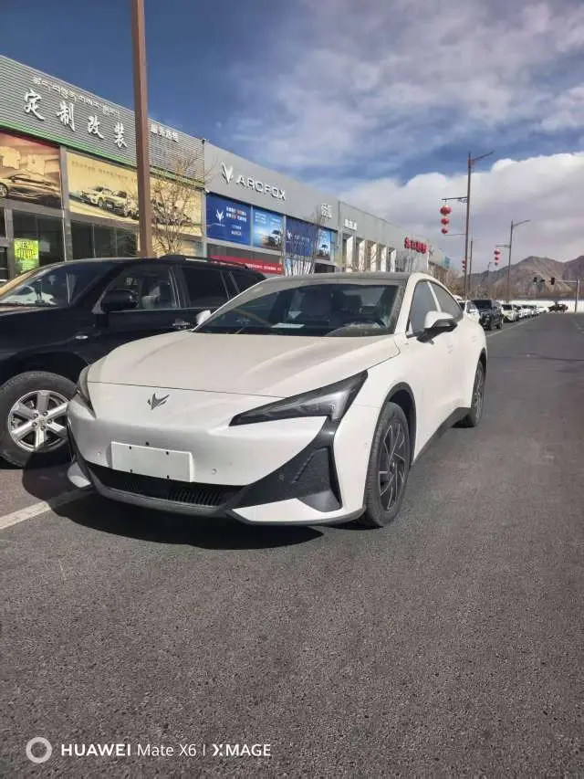 ARCFOX Extreme Fox JiFox Alpha S5  из Китая