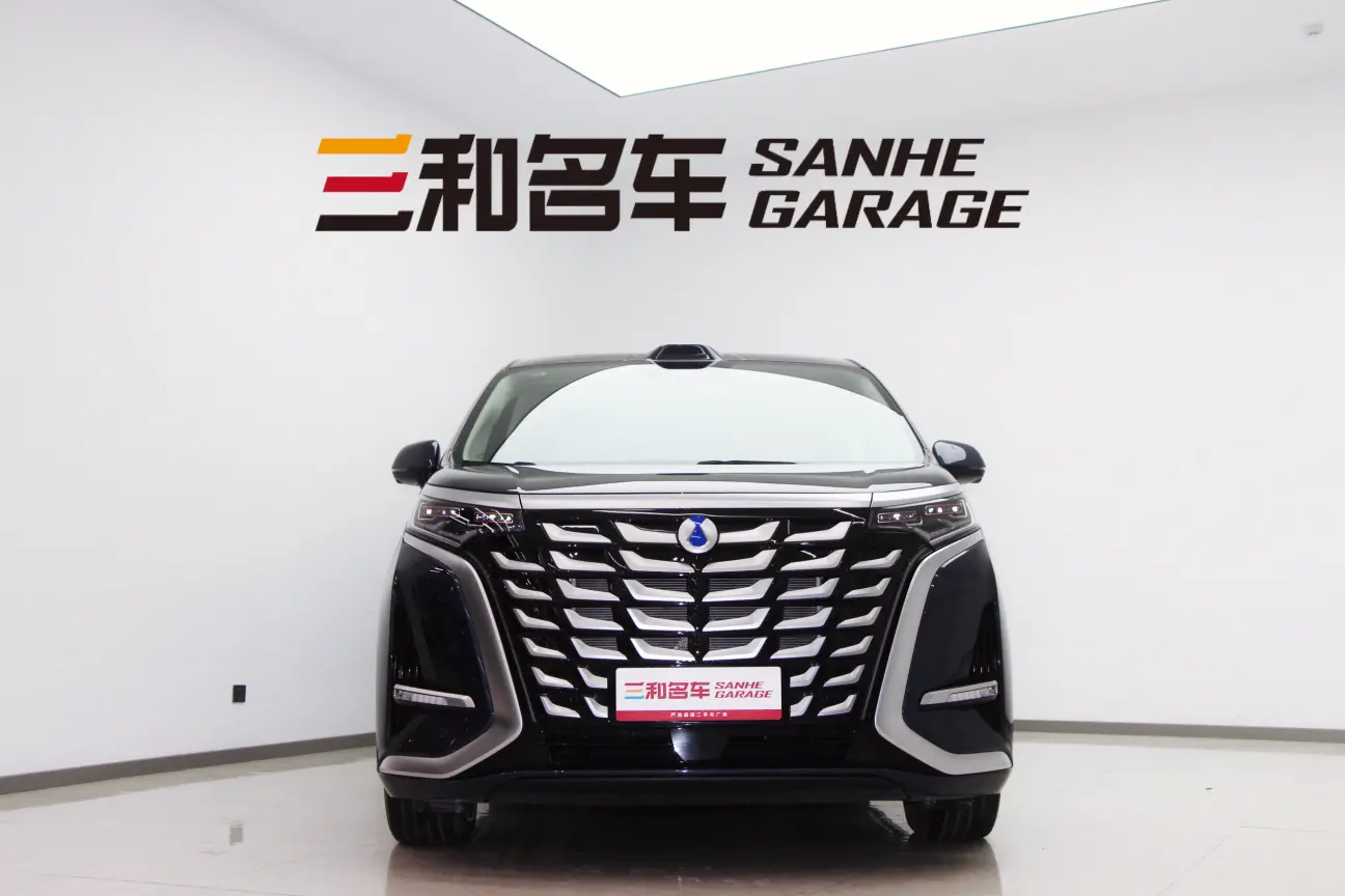 Denza D9 DM  из Китая