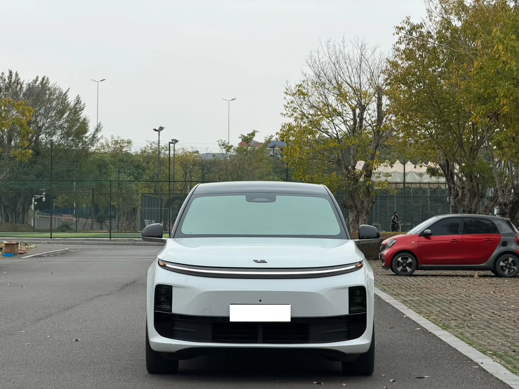 Li L6 (Ideal L6)  из Китая