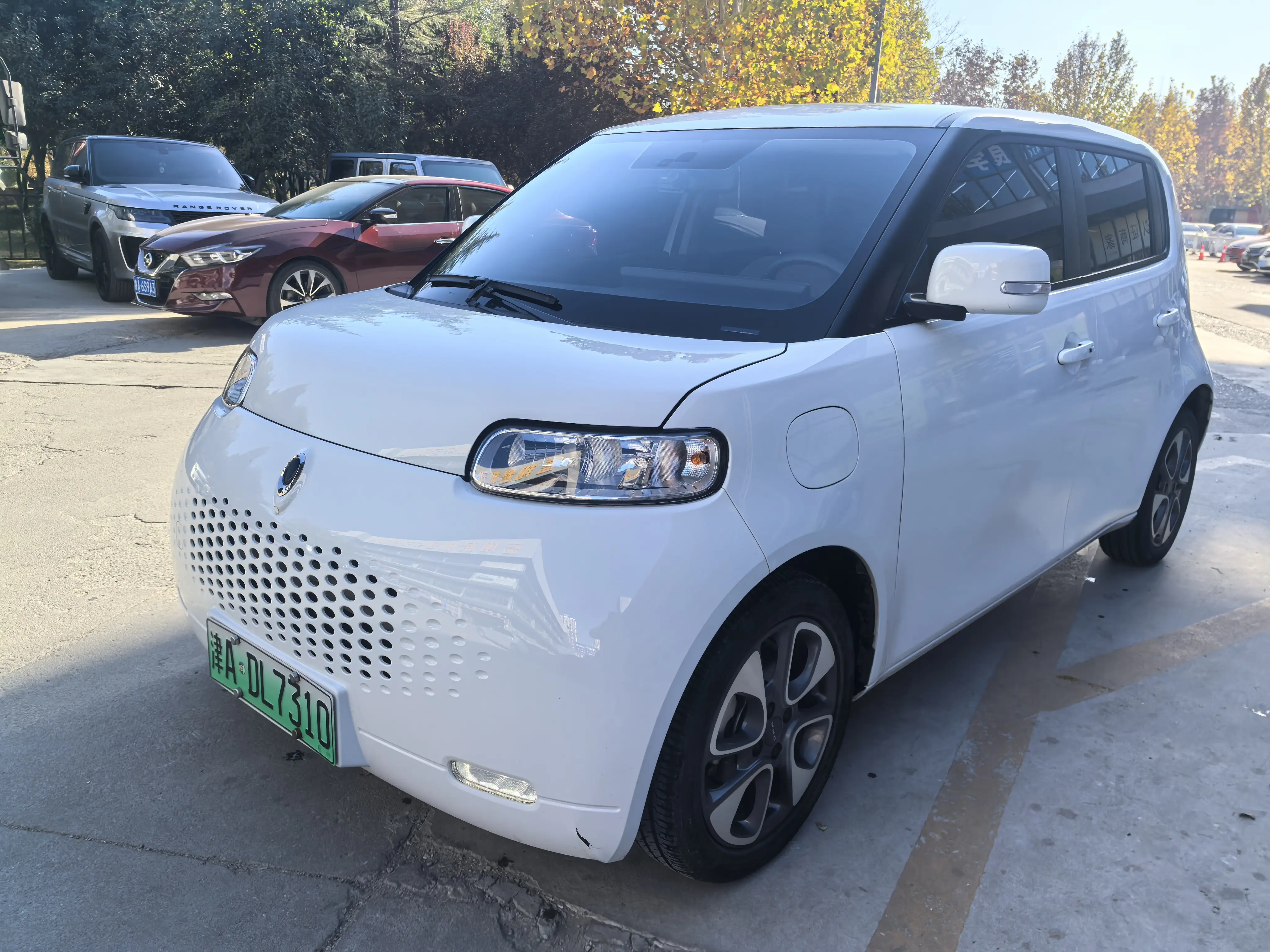 ORA Euler white cat  из Китая