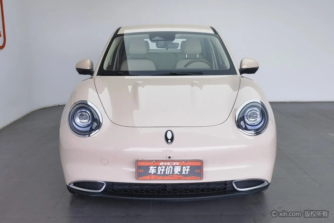 ORA Euler good cat  из Китая