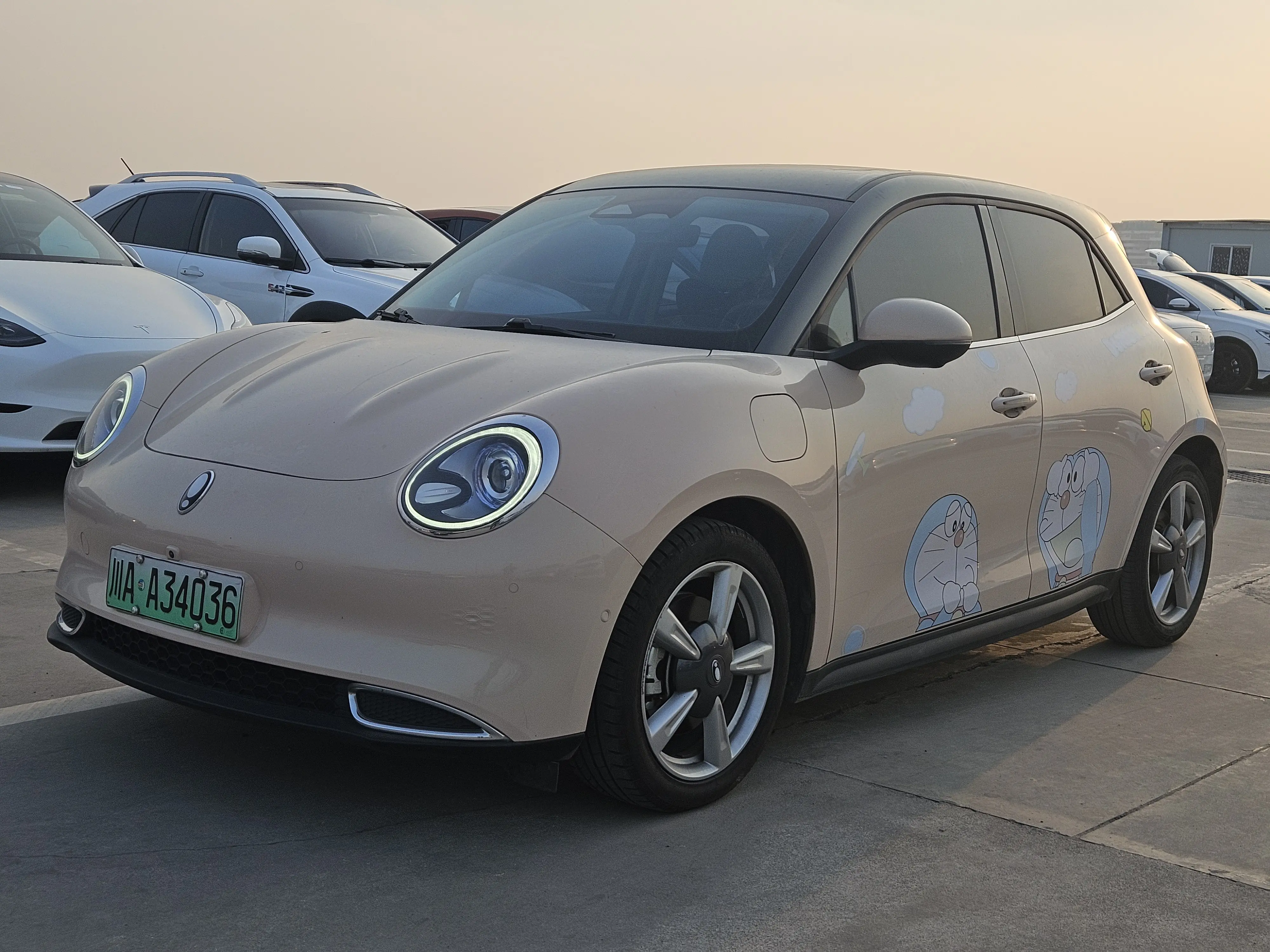 ORA Euler good cat  из Китая