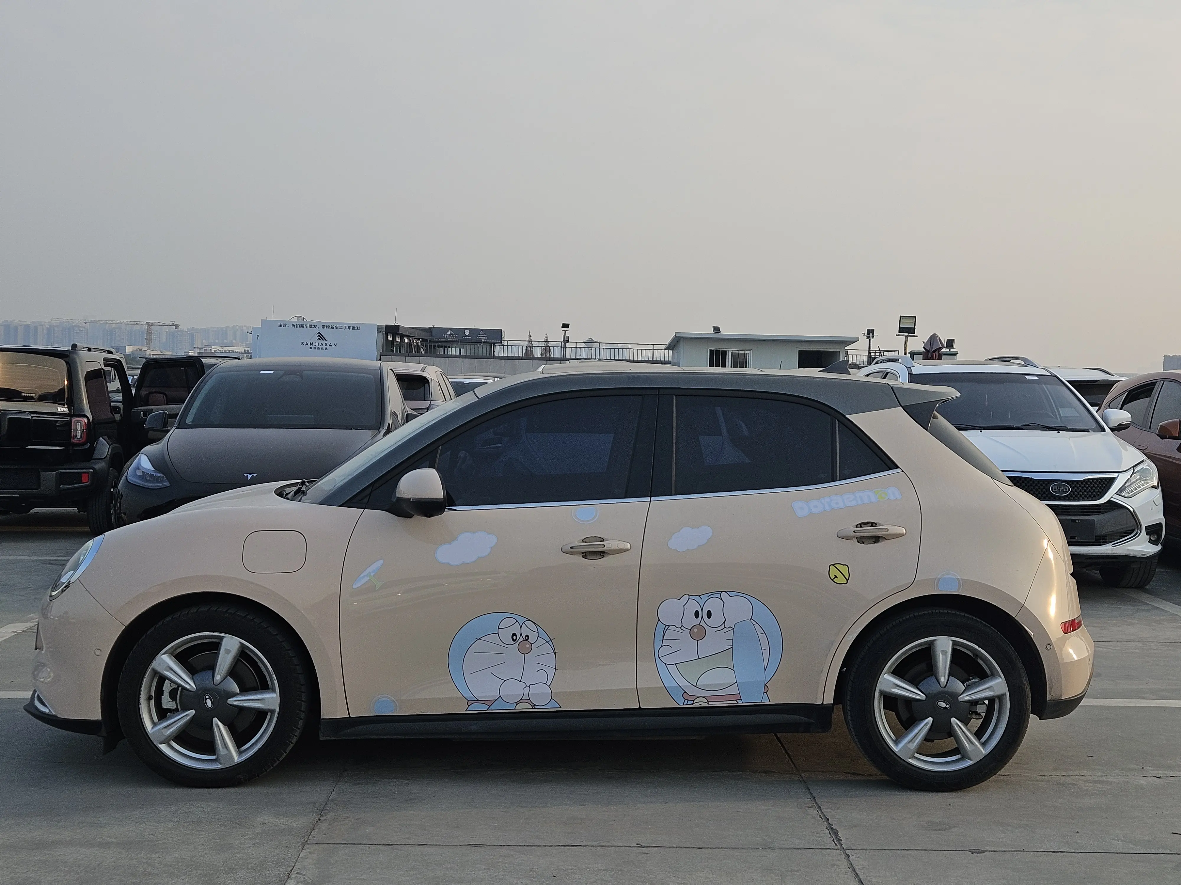 ORA Euler good cat  из Китая