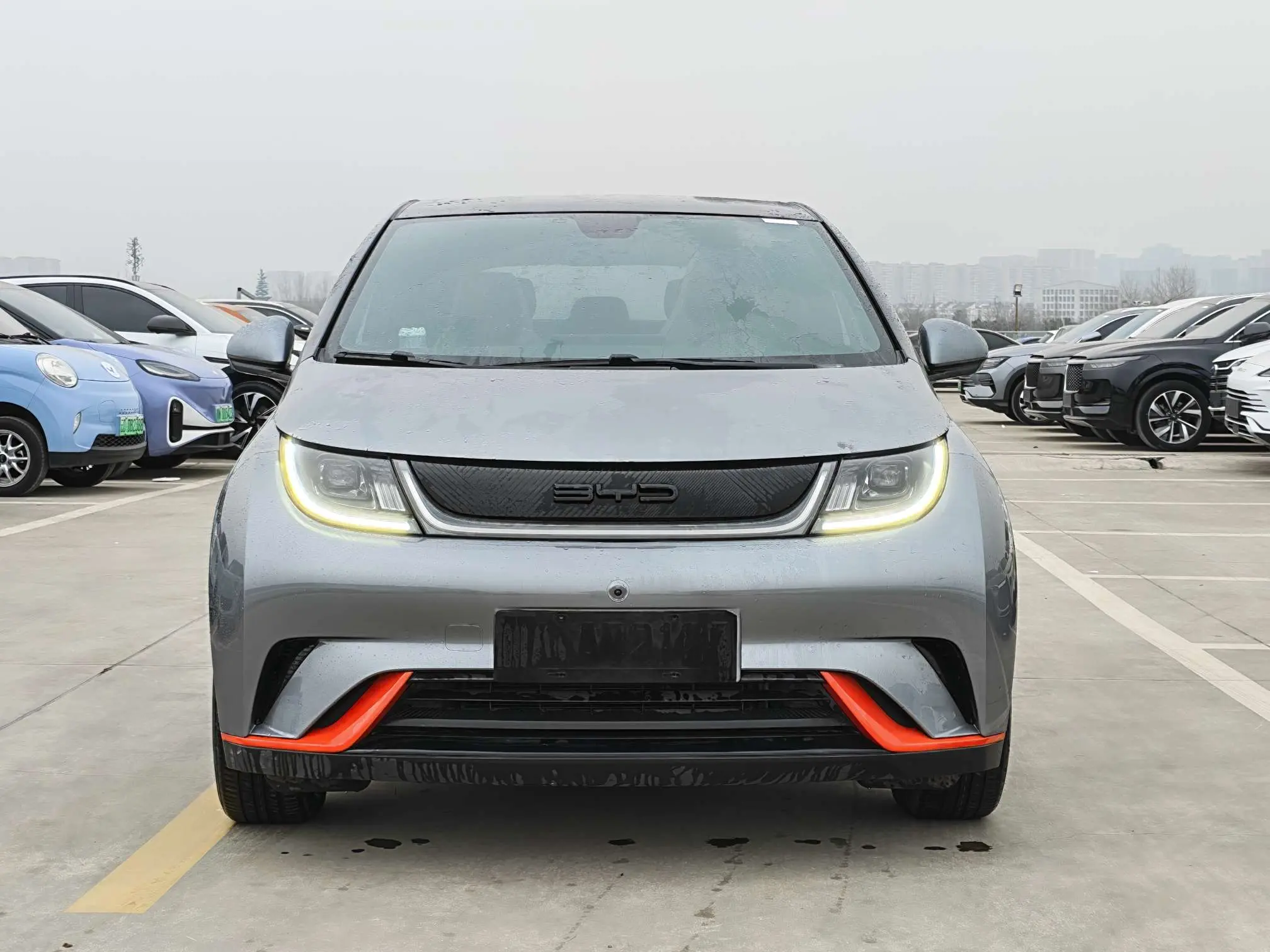 BYD Dolphin  из Китая