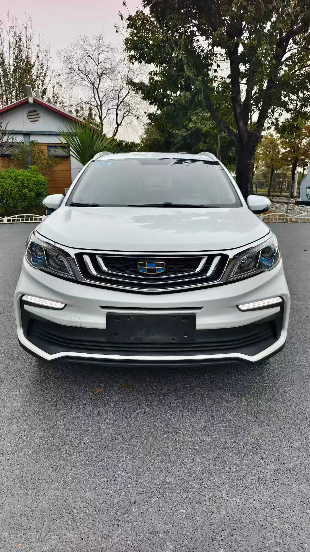 Geely Vision X3  из Китая