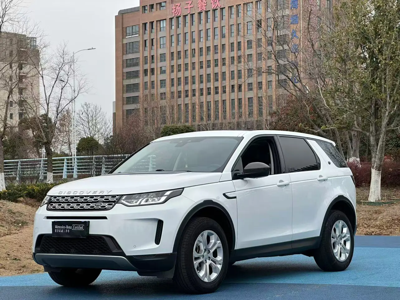 Land Rover Discover Sports  из Китая