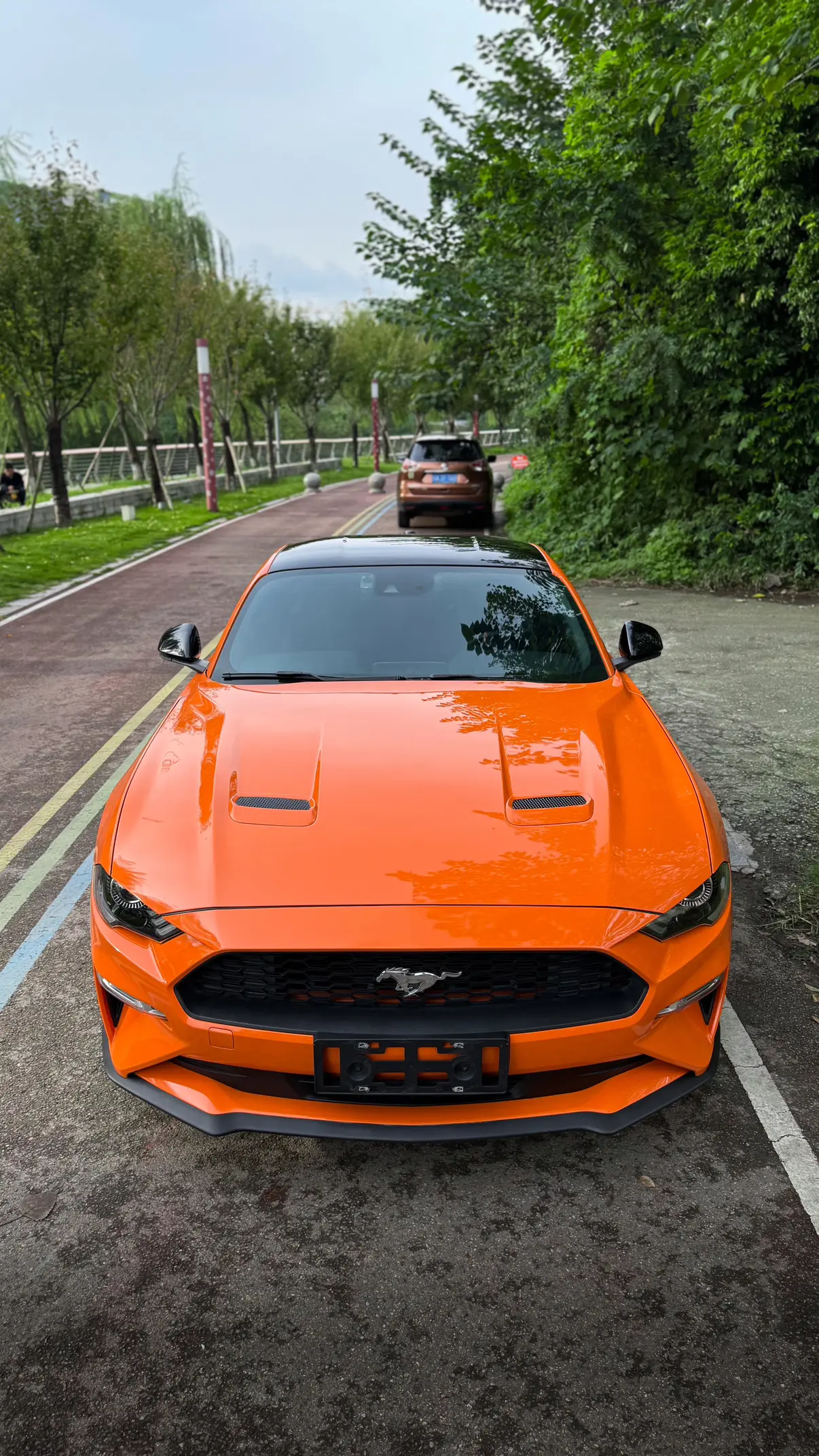 Ford Mustang  из Китая