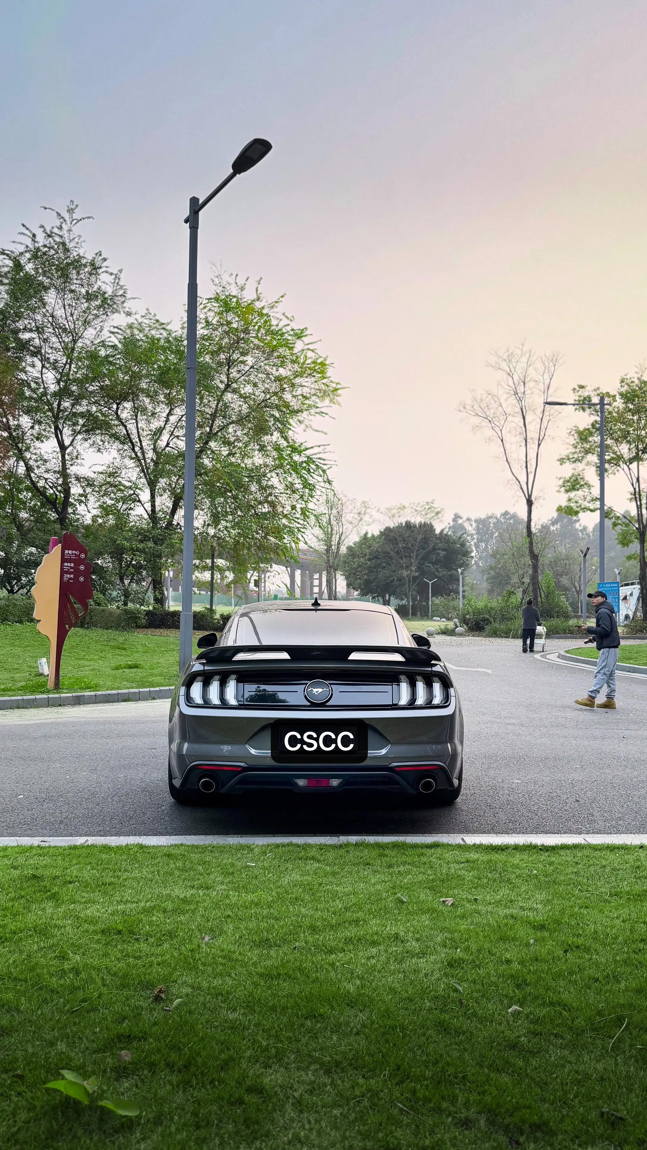 Ford Mustang  из Китая