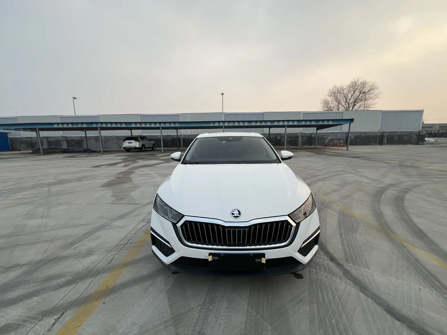 Skoda Octavia  из Китая