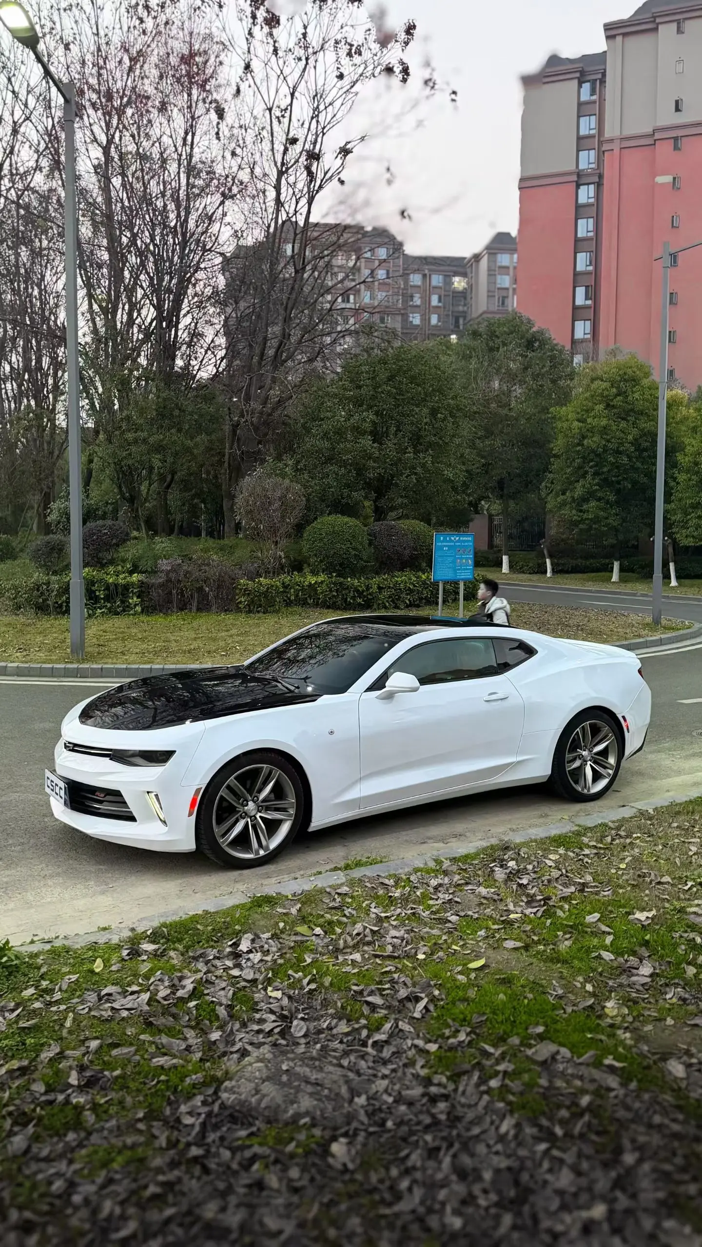 Chevrolet Camaro  из Китая