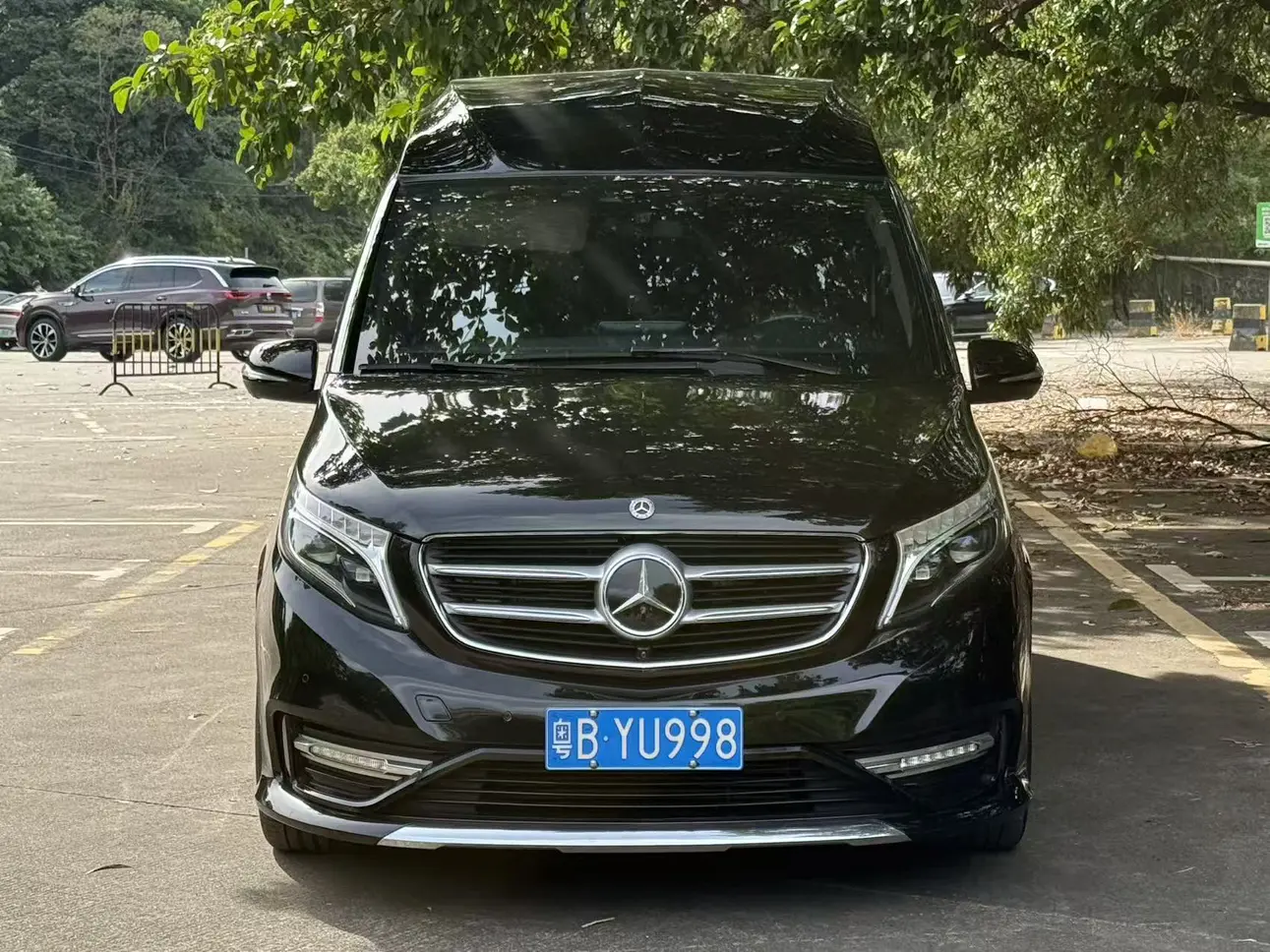 Mercedes-Benz Mercedes Benz V Class  из Китая