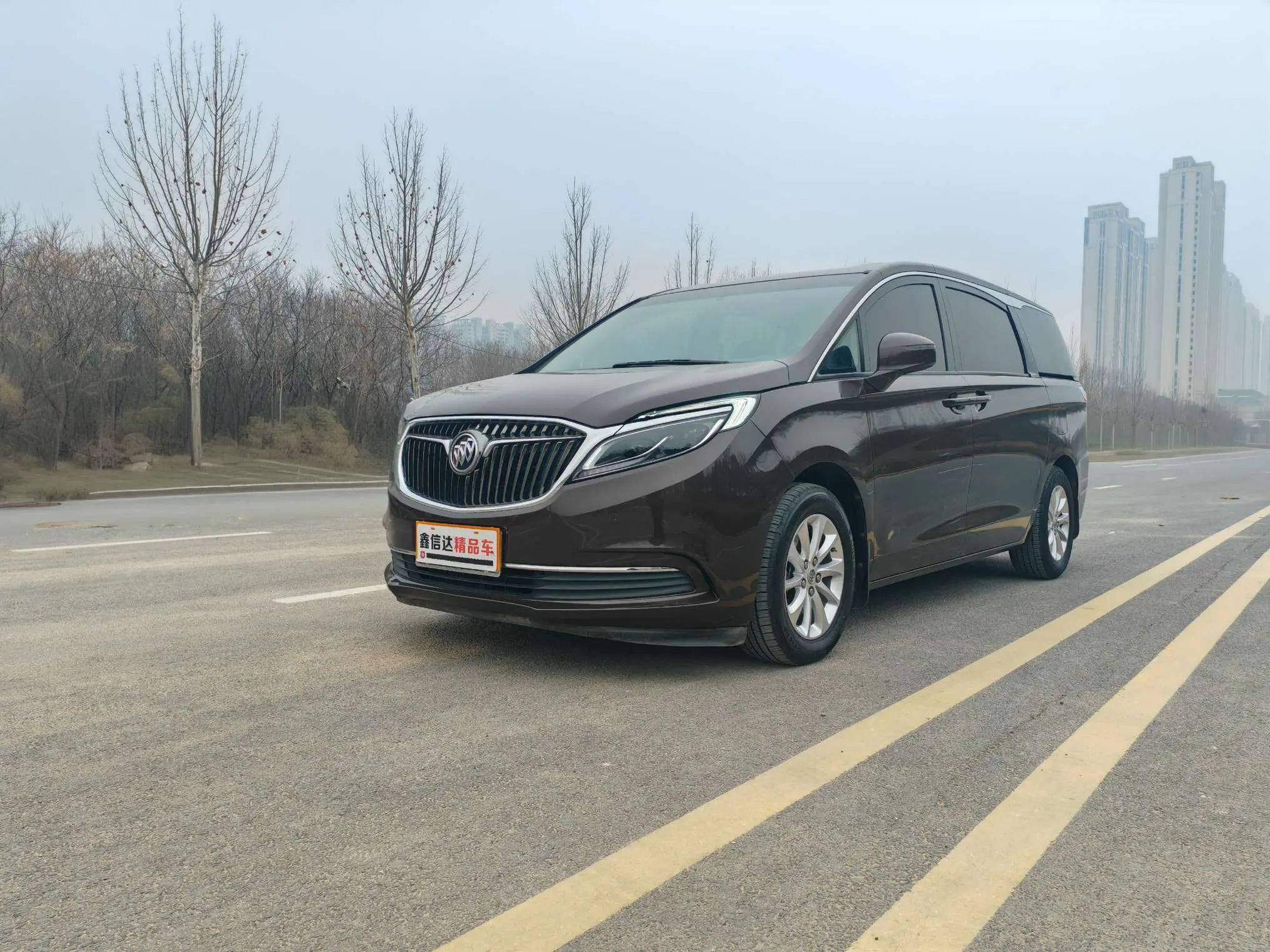 Buick GL8  из Китая