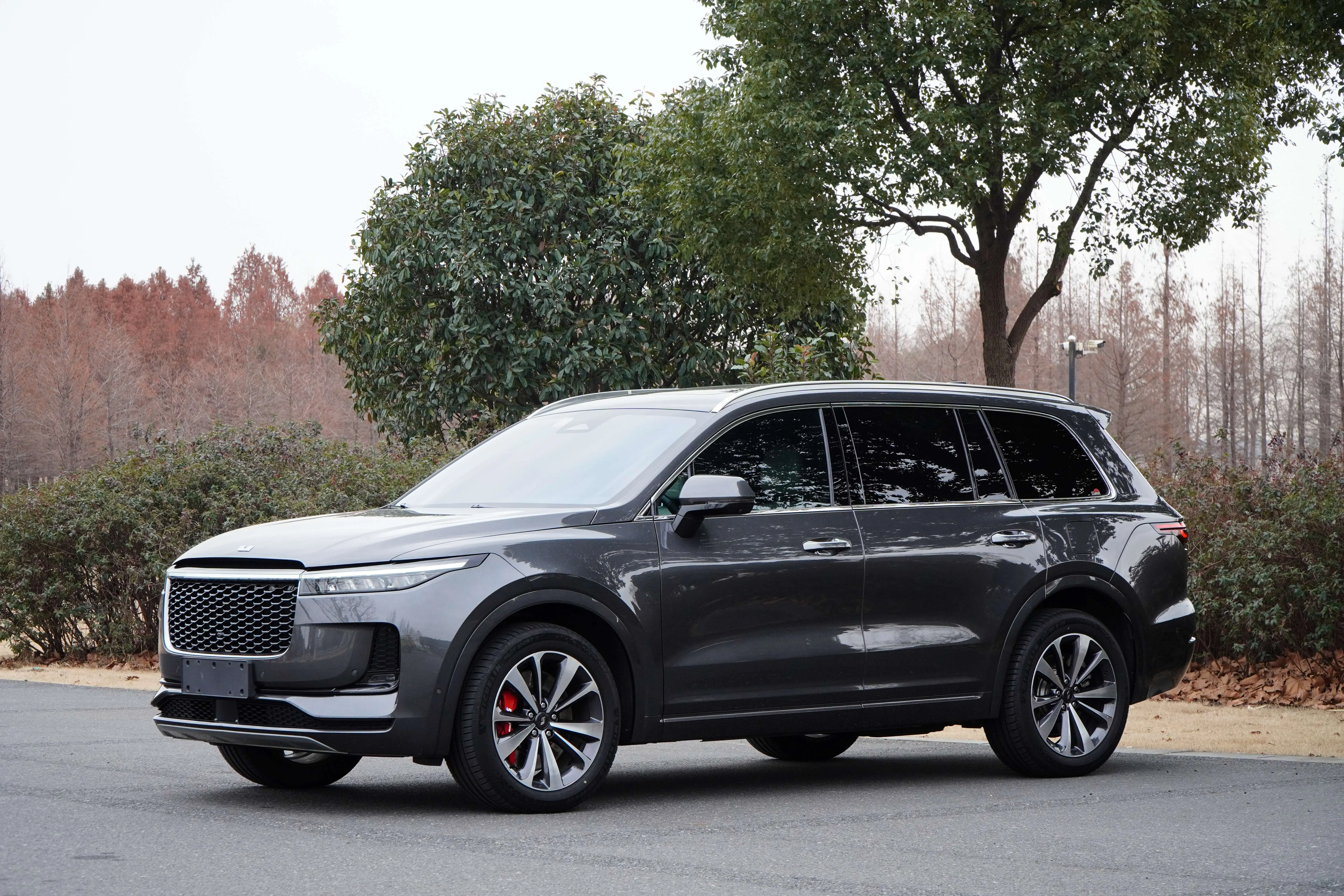 Li ONE (Ideal ONE)  из Китая