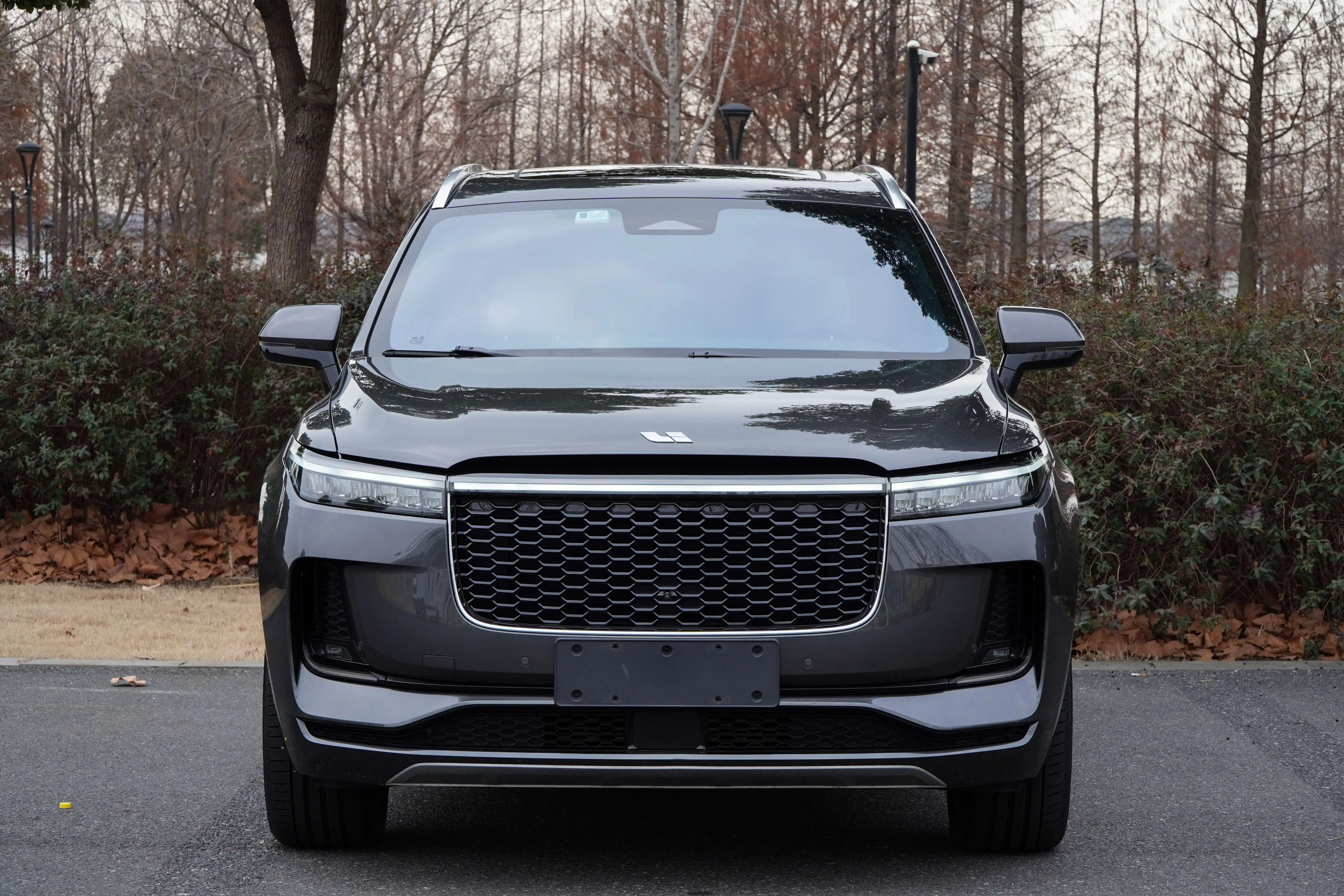 Li ONE (Ideal ONE)  из Китая