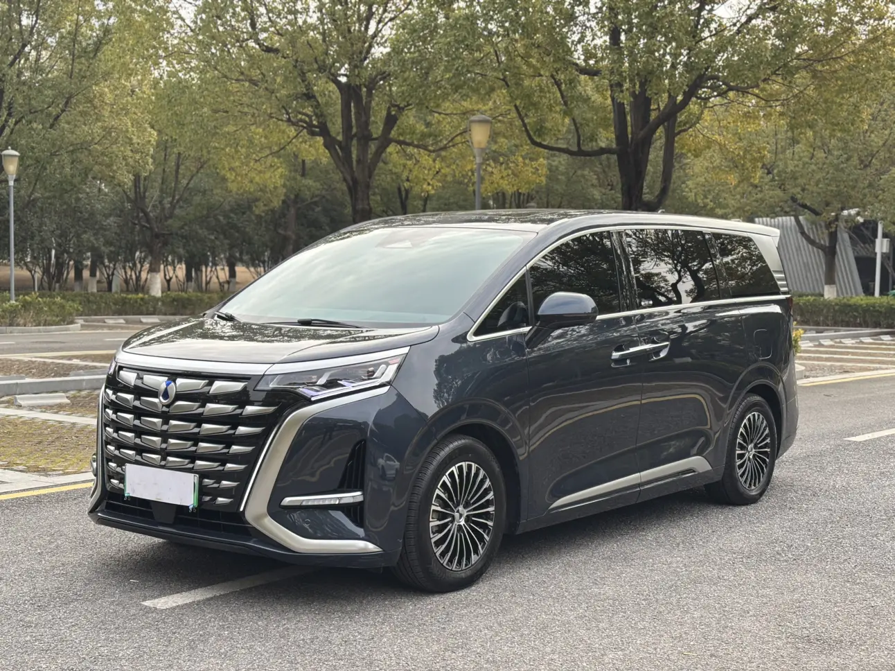 Denza D9 DM  из Китая