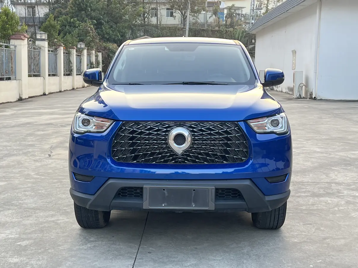 Great Wall Gun  из Китая