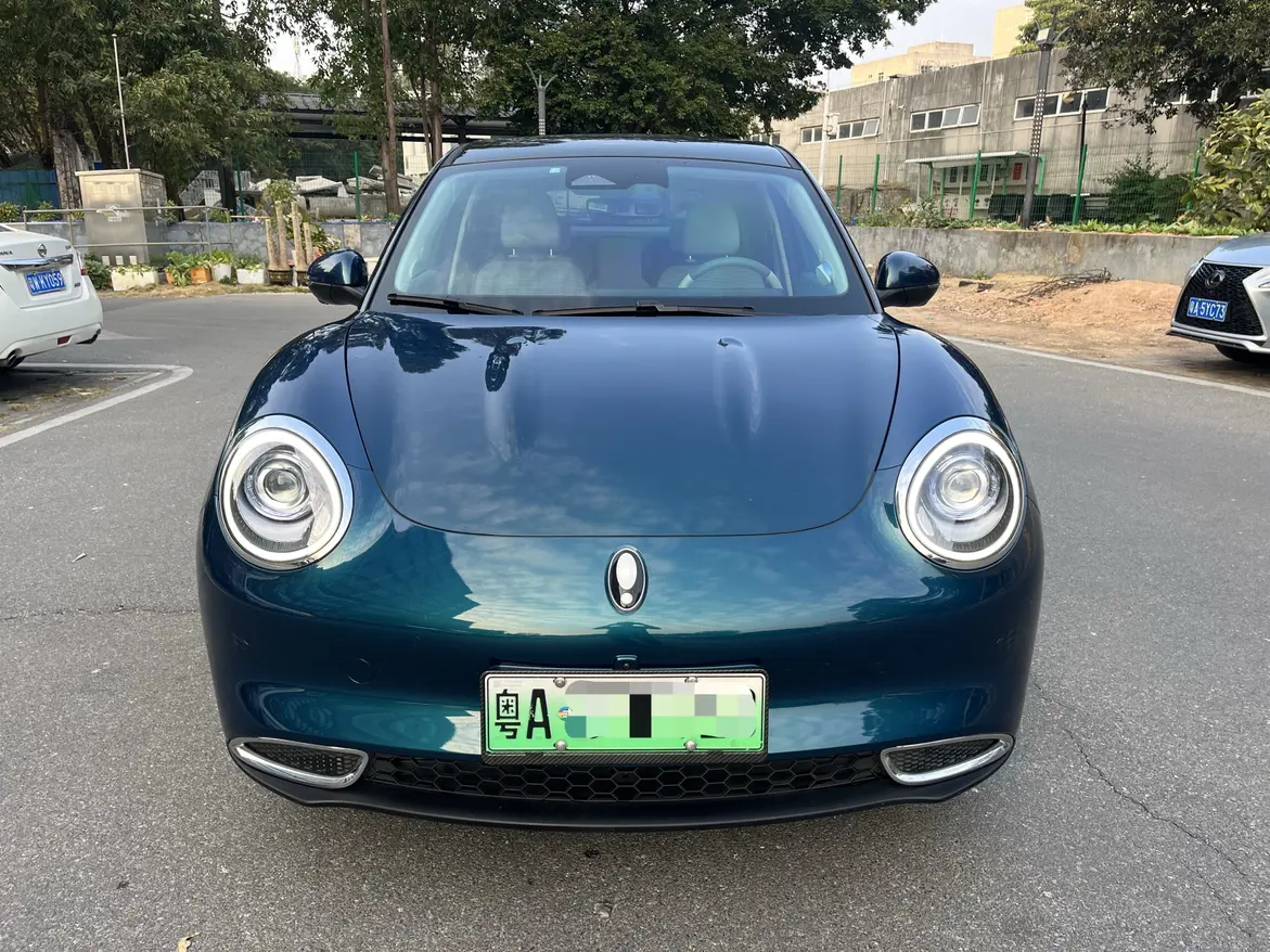 ORA Euler good cat  из Китая