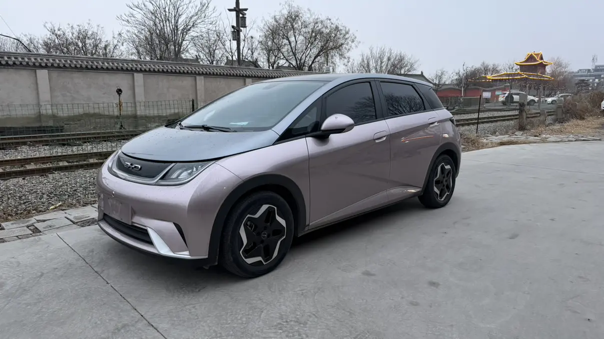 BYD Dolphin  из Китая