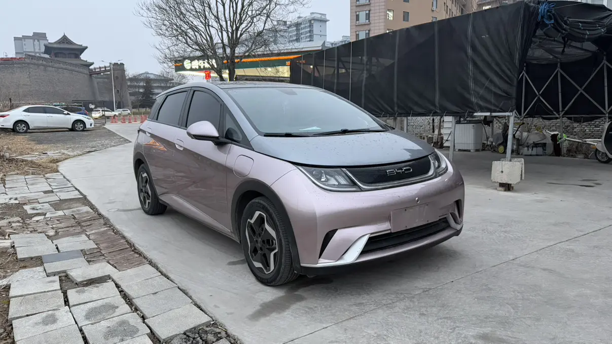BYD Dolphin  из Китая