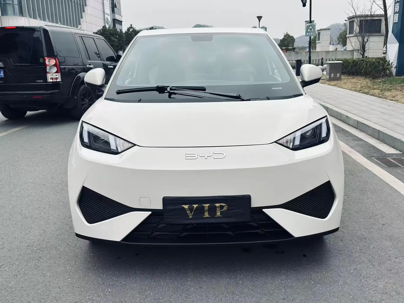 BYD Seagull  из Китая