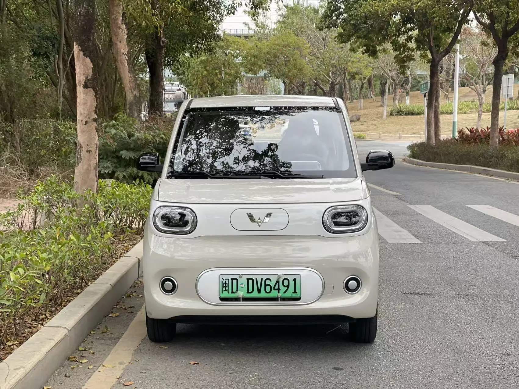 Wuling Hongguang MINIEV  из Китая