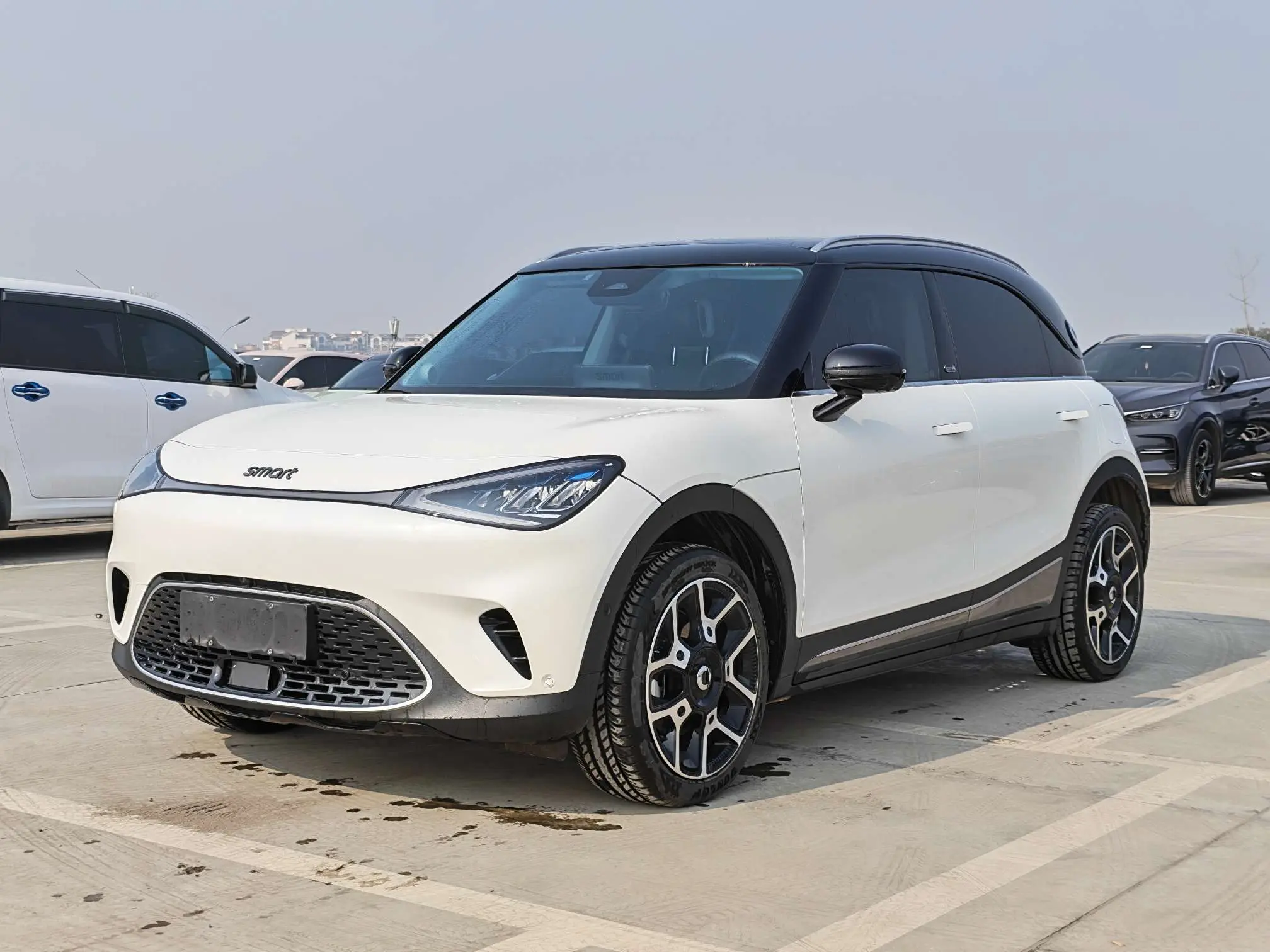 Smart elf #1  из Китая