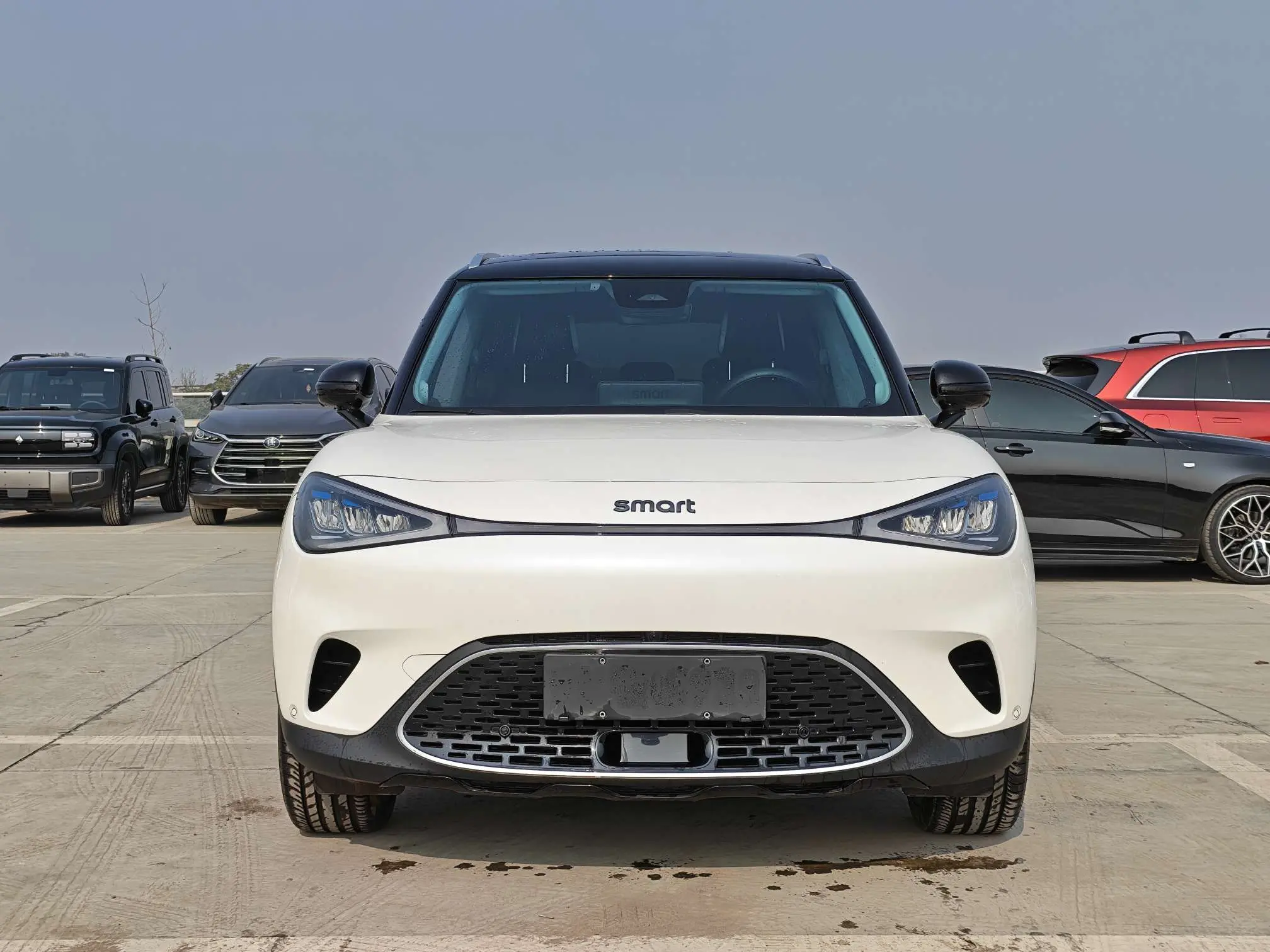 Smart elf #1  из Китая