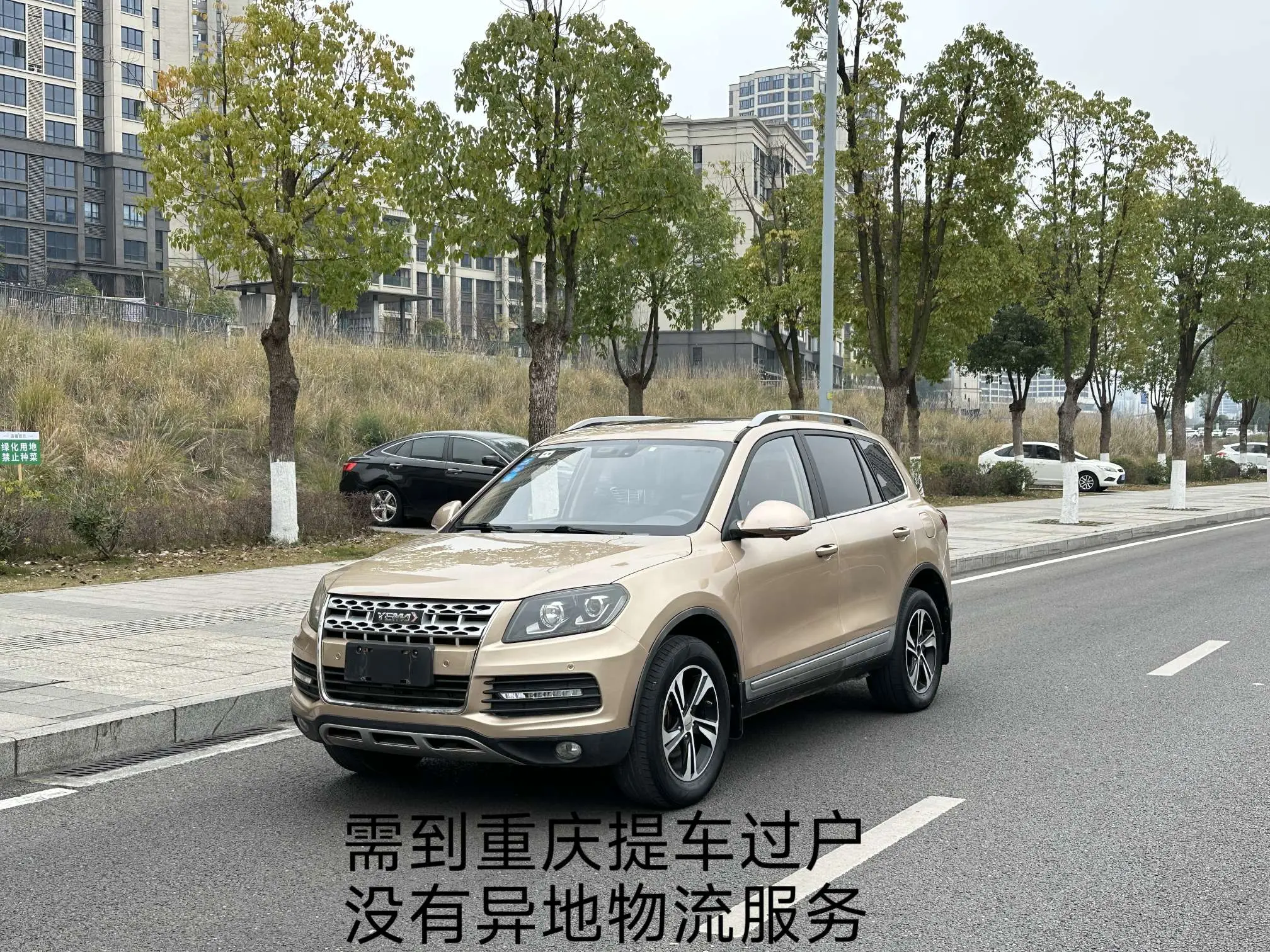 Yema Mustang T70  из Китая