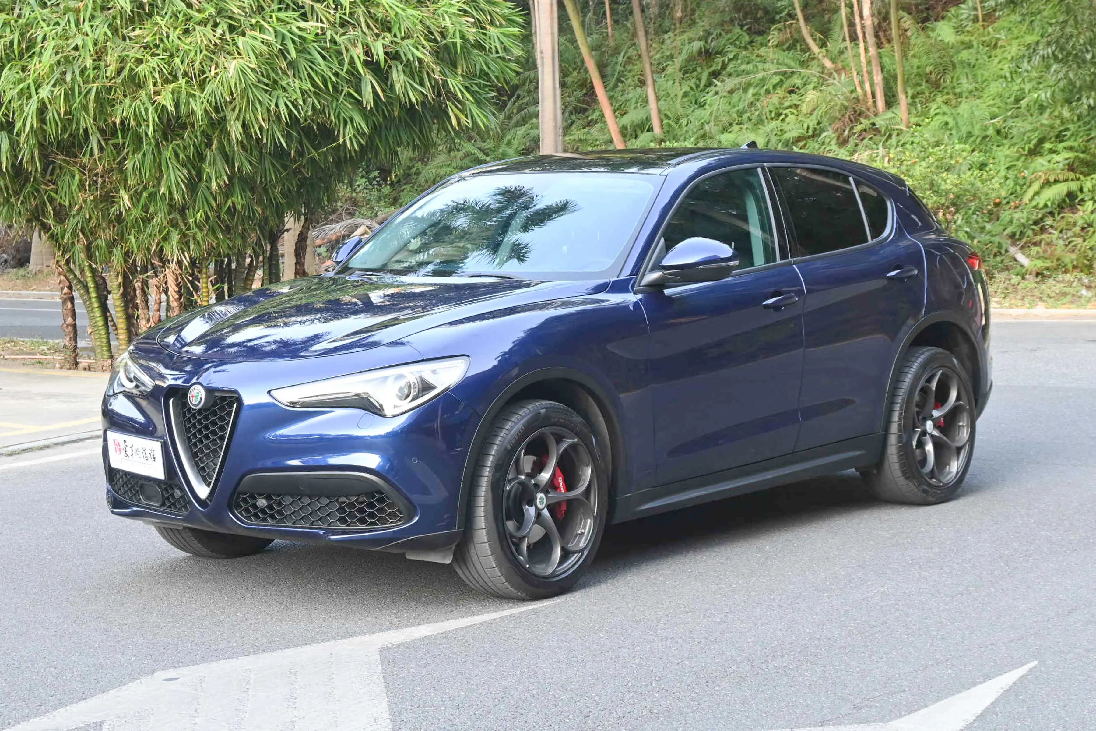 Alfa romeo Stelvio  из Китая