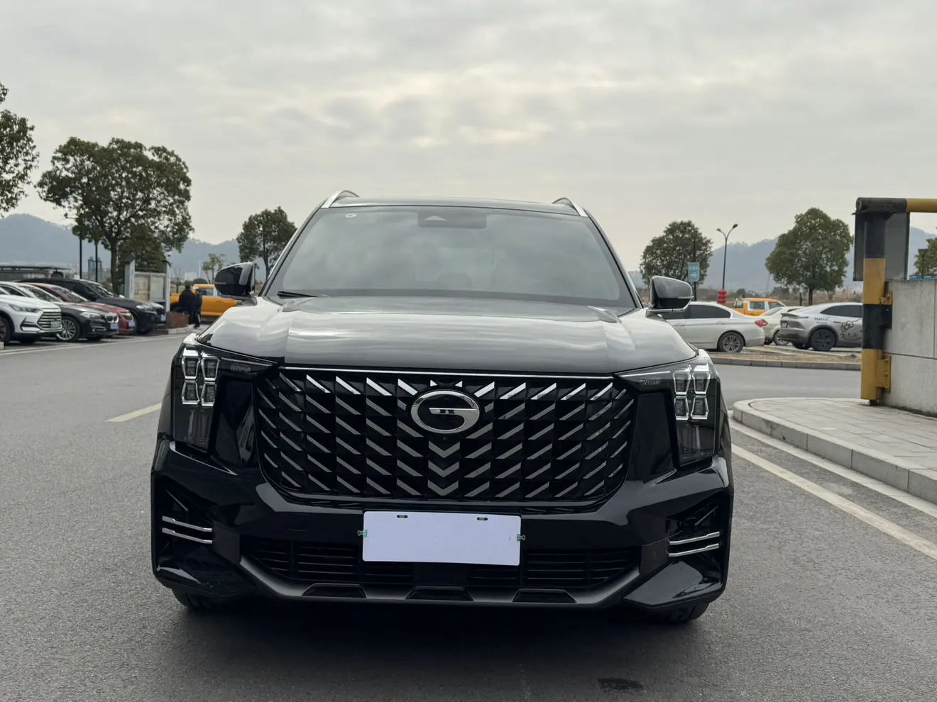 GAC Trumpchi GS8  из Китая