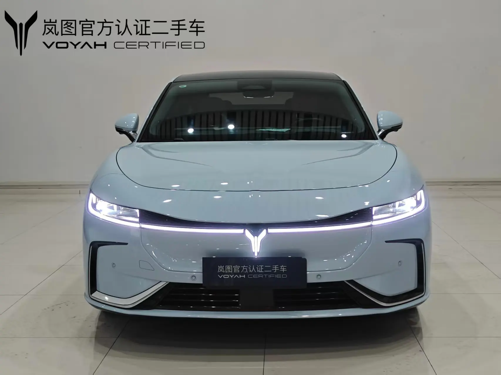 Voyah Passion EV  из Китая