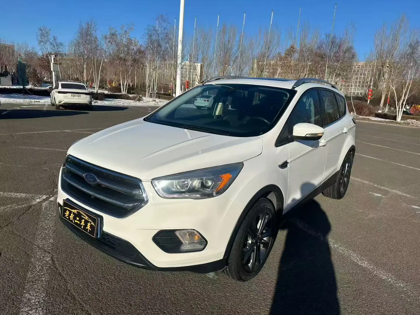 Ford Wing tiger  из Китая